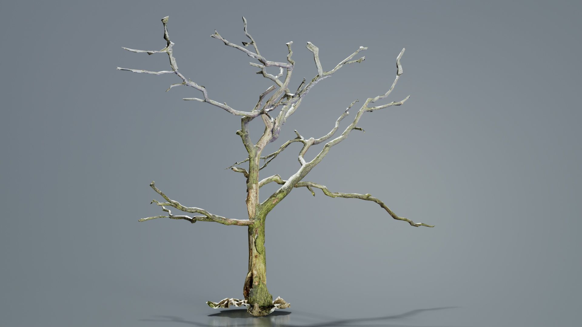 Lonesome Tree Low-poly 3D model_4