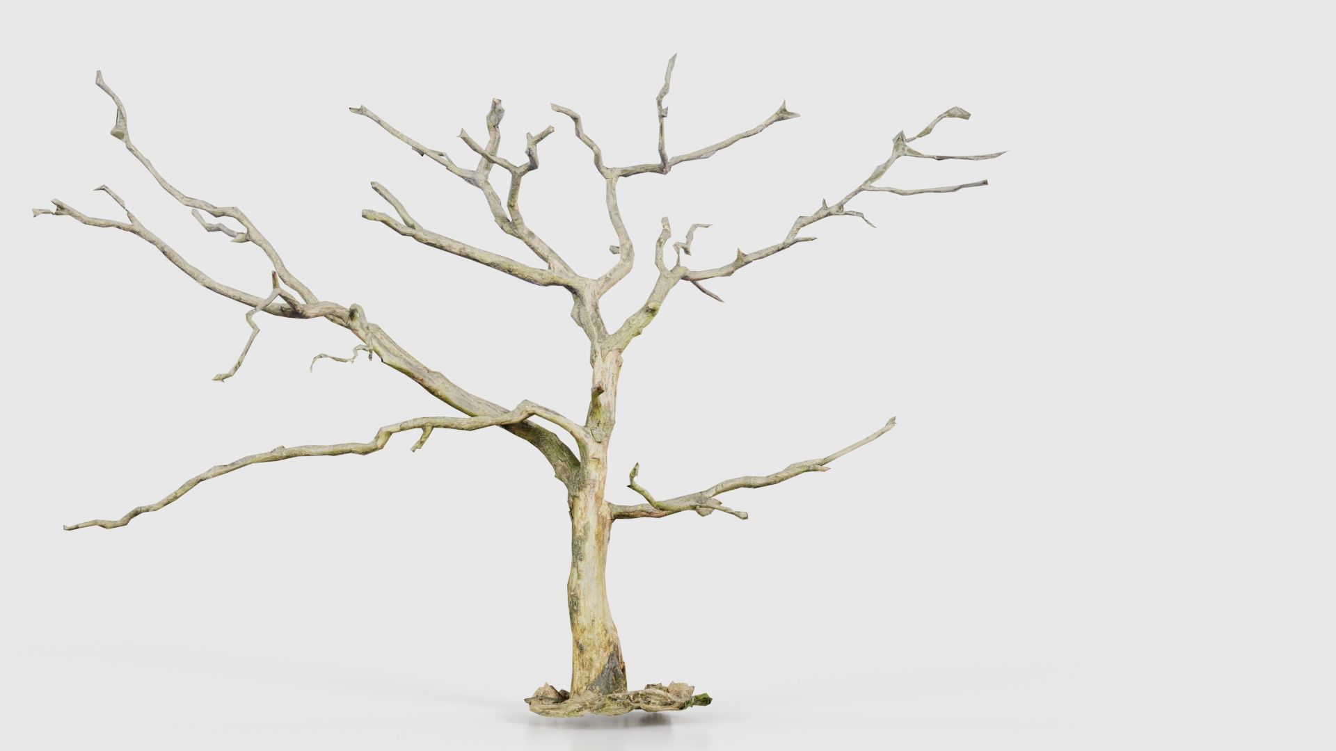 Lonesome Tree Low-poly 3D model_21