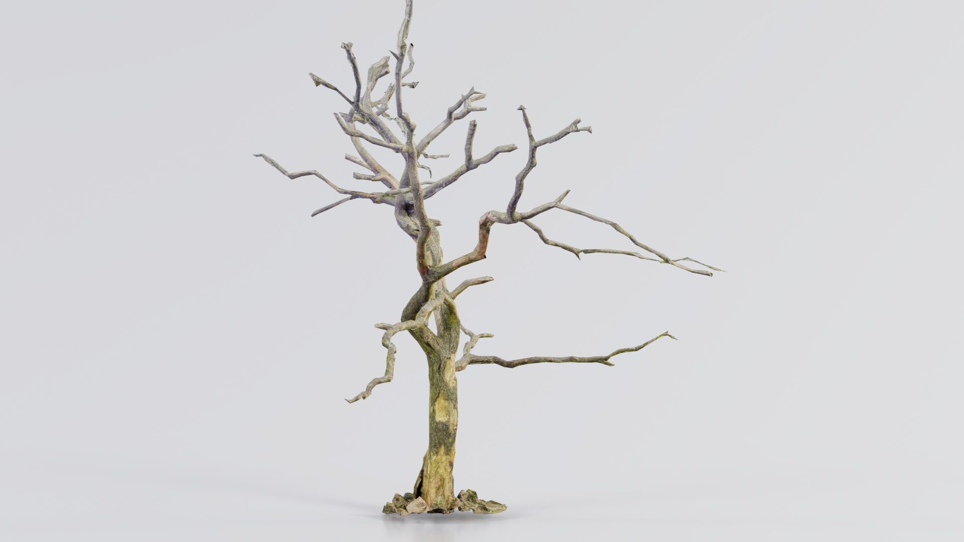 Lonesome Tree Low-poly 3D model_7