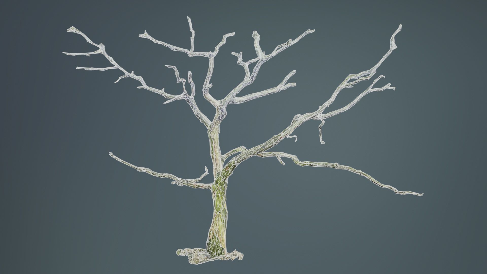 Lonesome Tree Low-poly 3D model_9