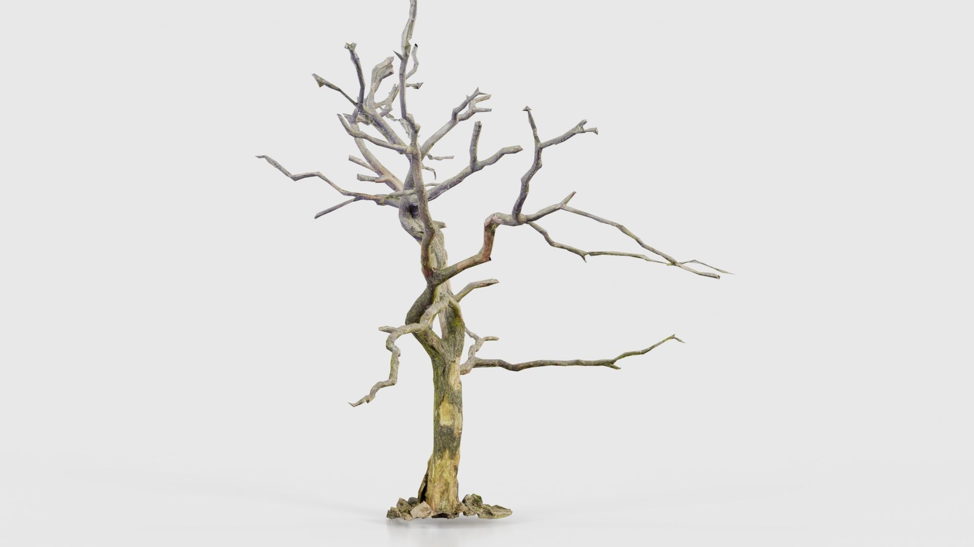 Lonesome Tree Low-poly 3D model_24