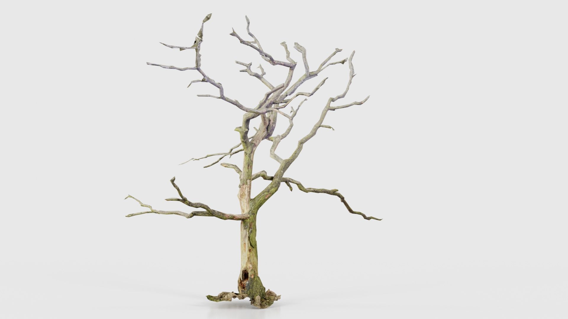 Lonesome Tree Low-poly 3D model_17
