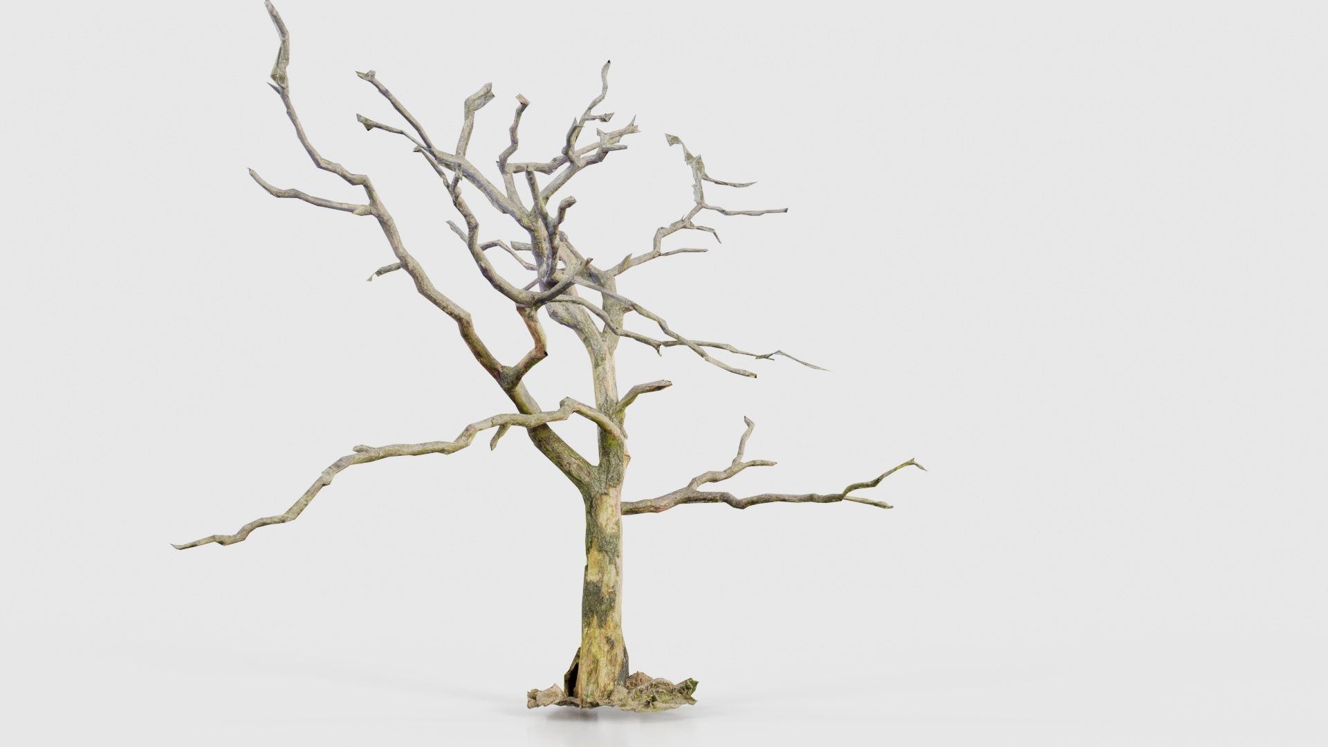 Lonesome Tree Low-poly 3D model_23
