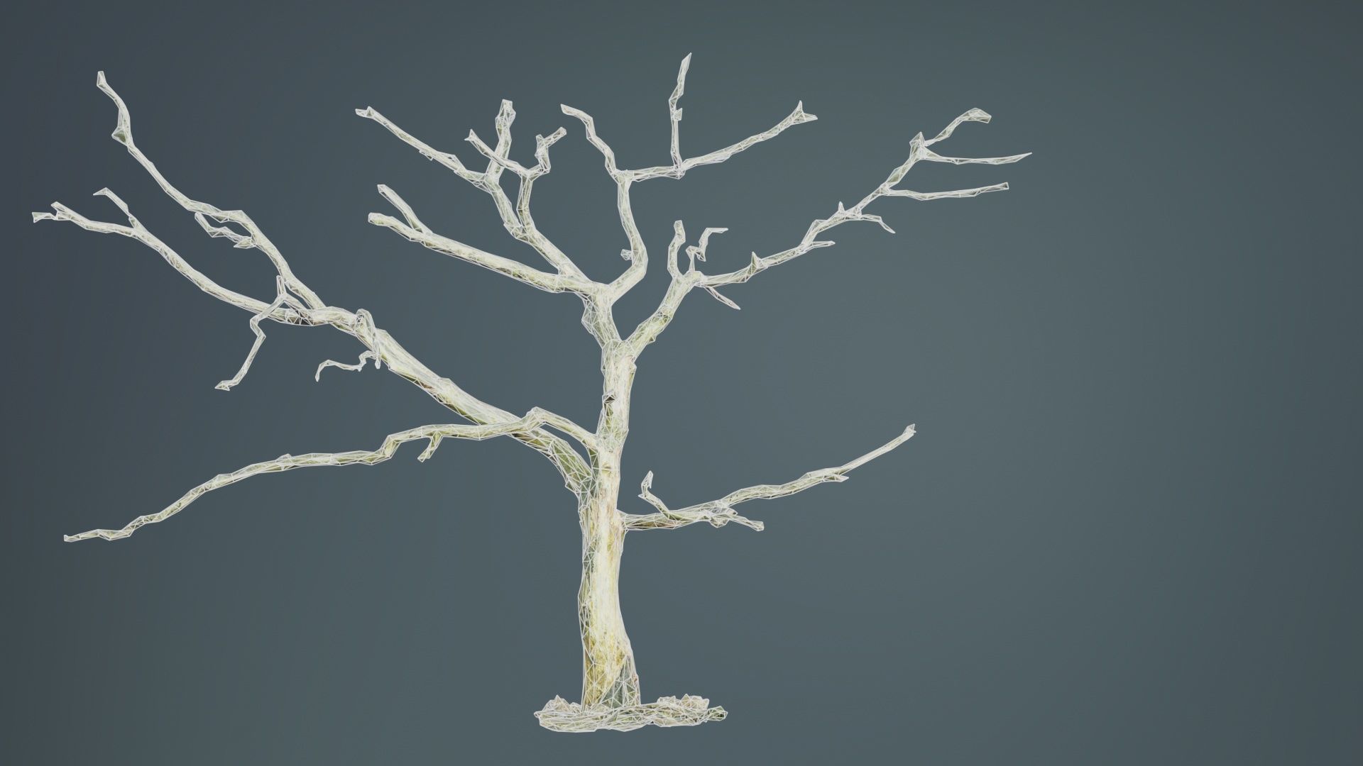 Lonesome Tree Low-poly 3D model_10