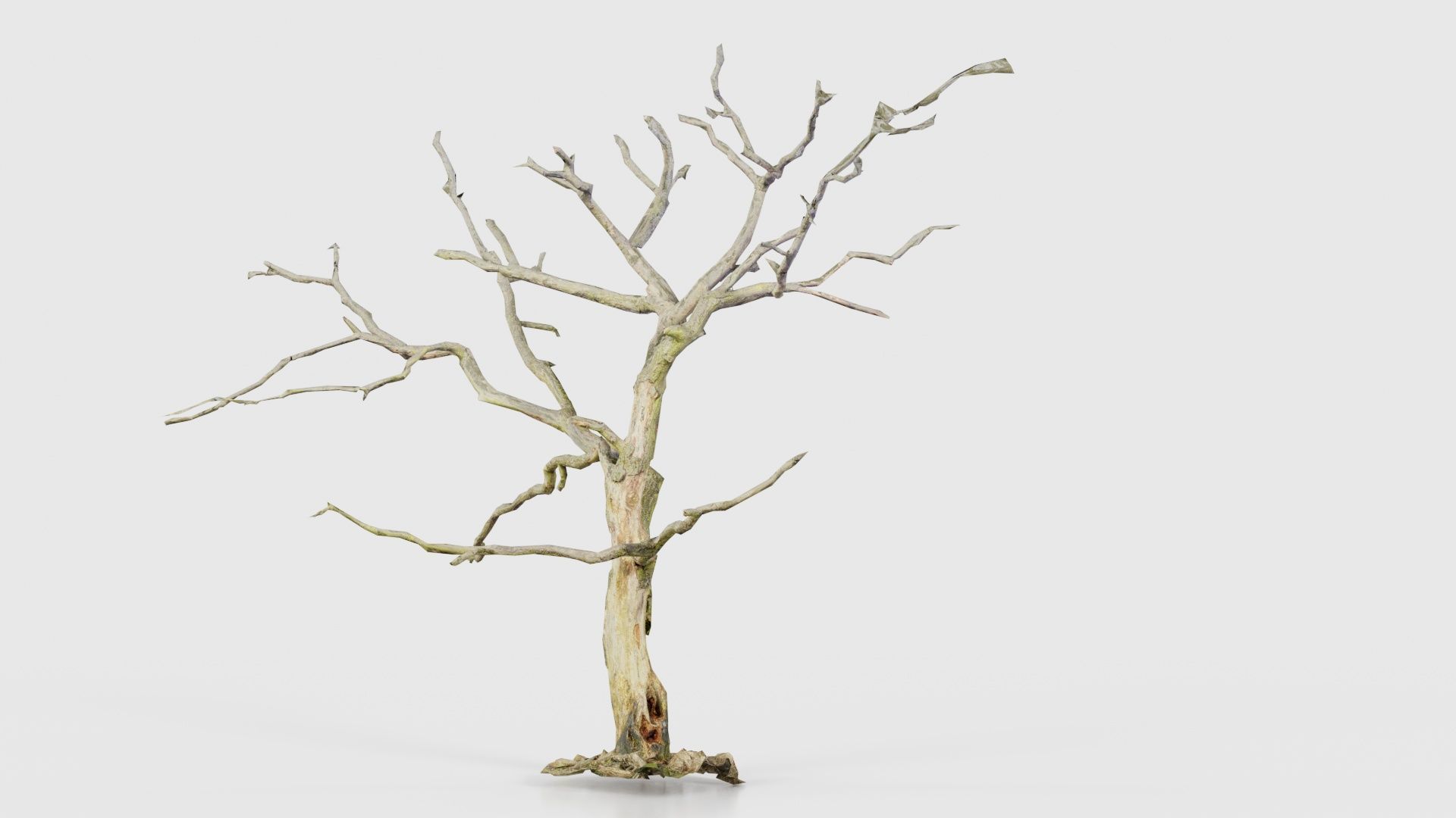 Lonesome Tree Low-poly 3D model_19