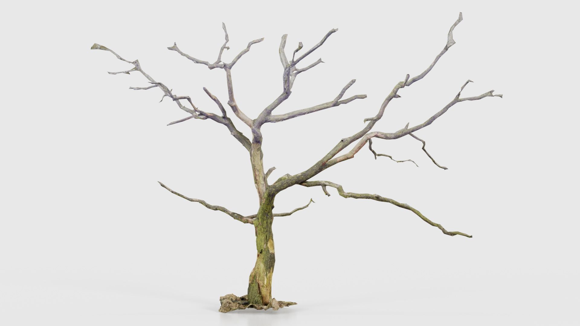 Lonesome Tree Low-poly 3D model_26