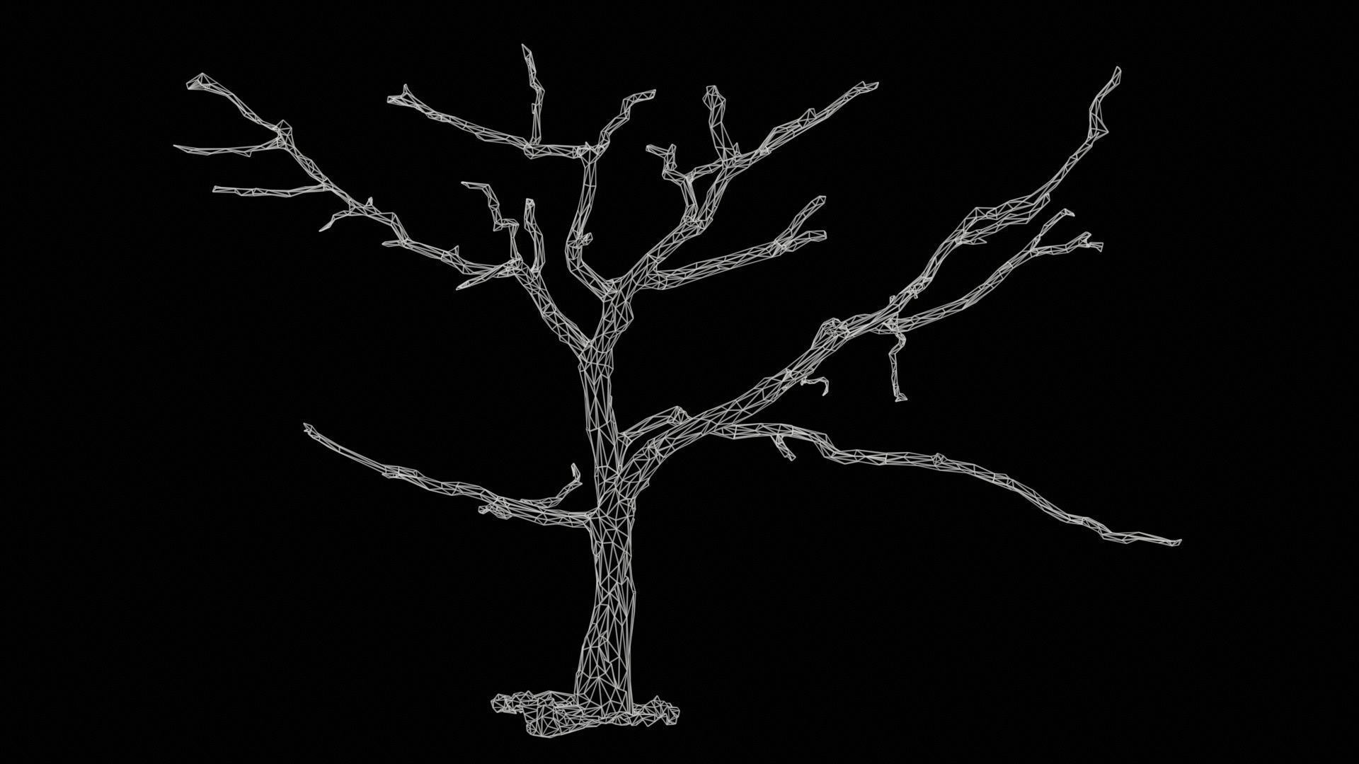 Lonesome Tree Low-poly 3D model_11