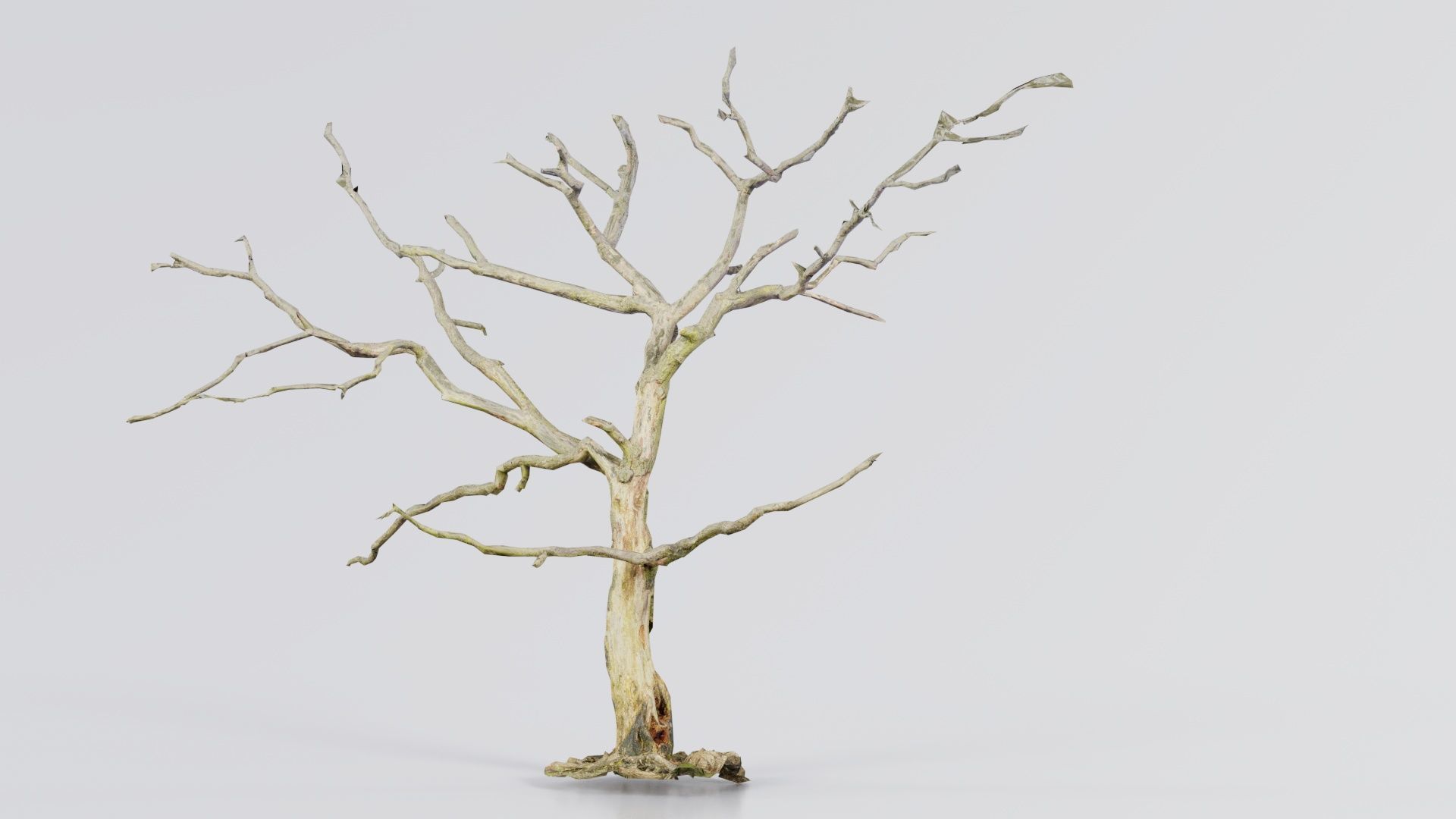 Lonesome Tree Low-poly 3D model_6