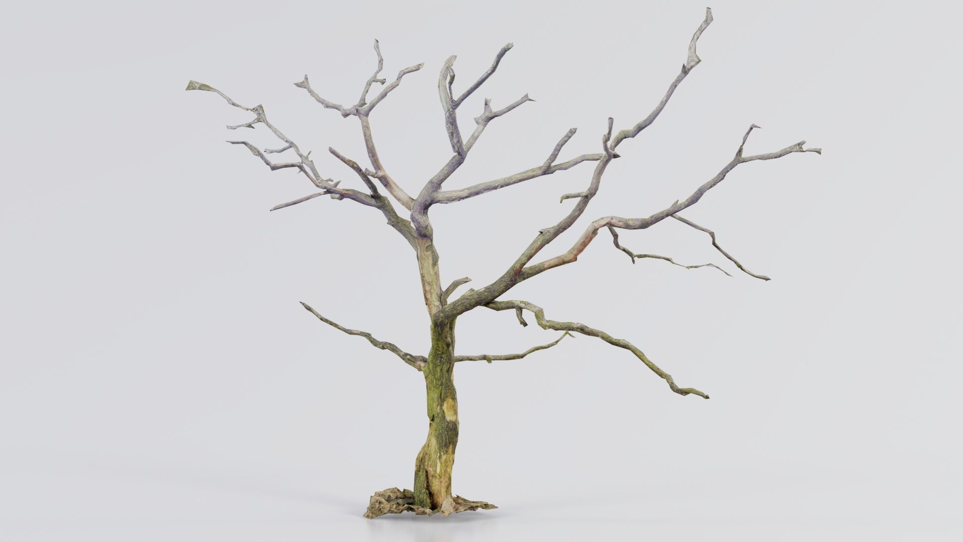 Lonesome Tree Low-poly 3D model_3