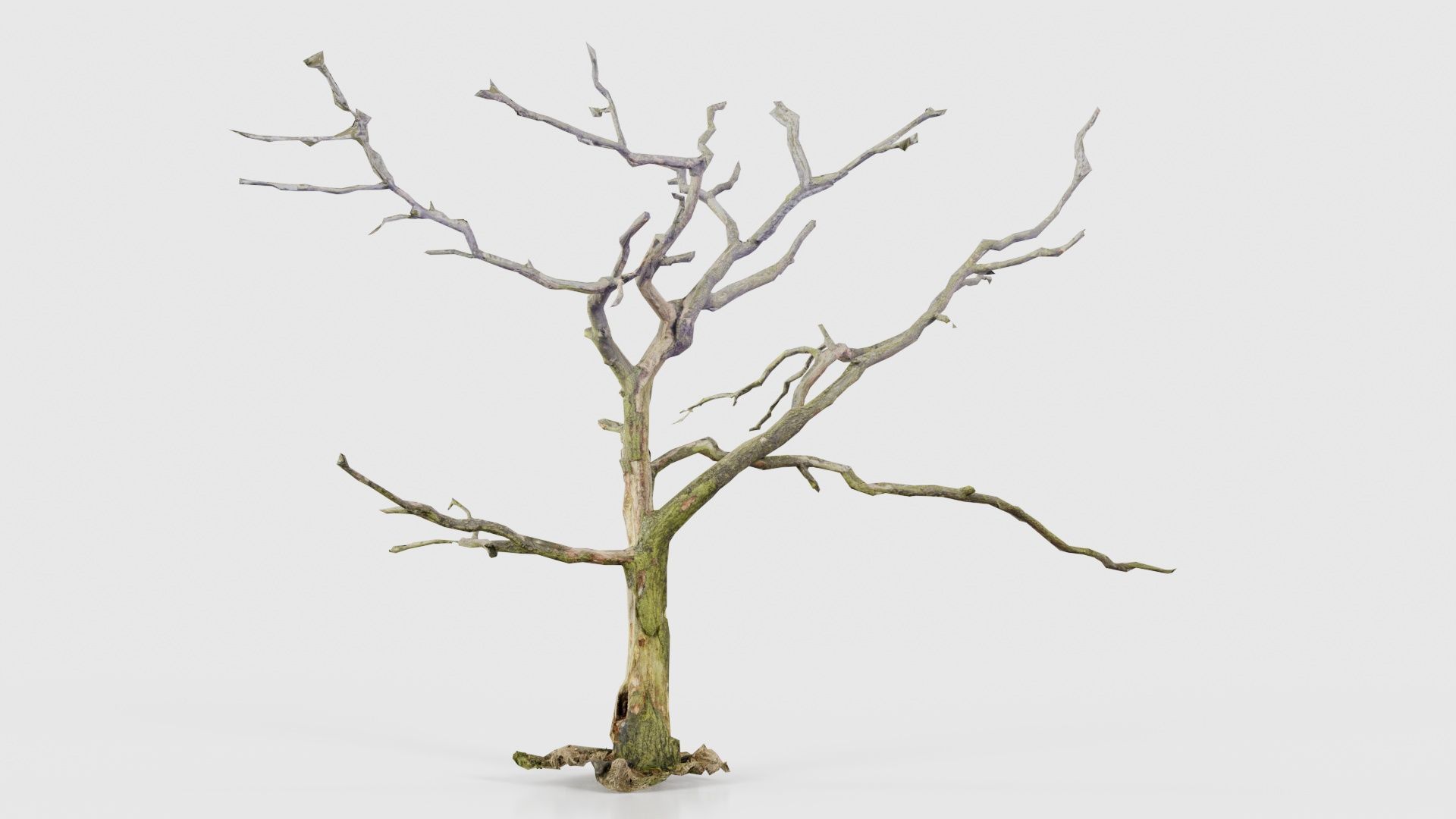 Lonesome Tree Low-poly 3D model_16