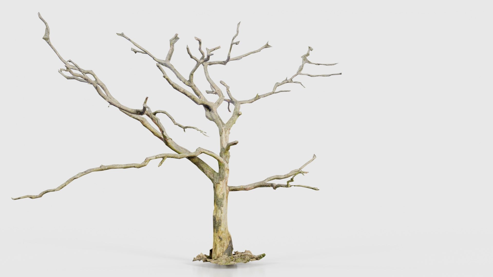 Lonesome Tree Low-poly 3D model_22