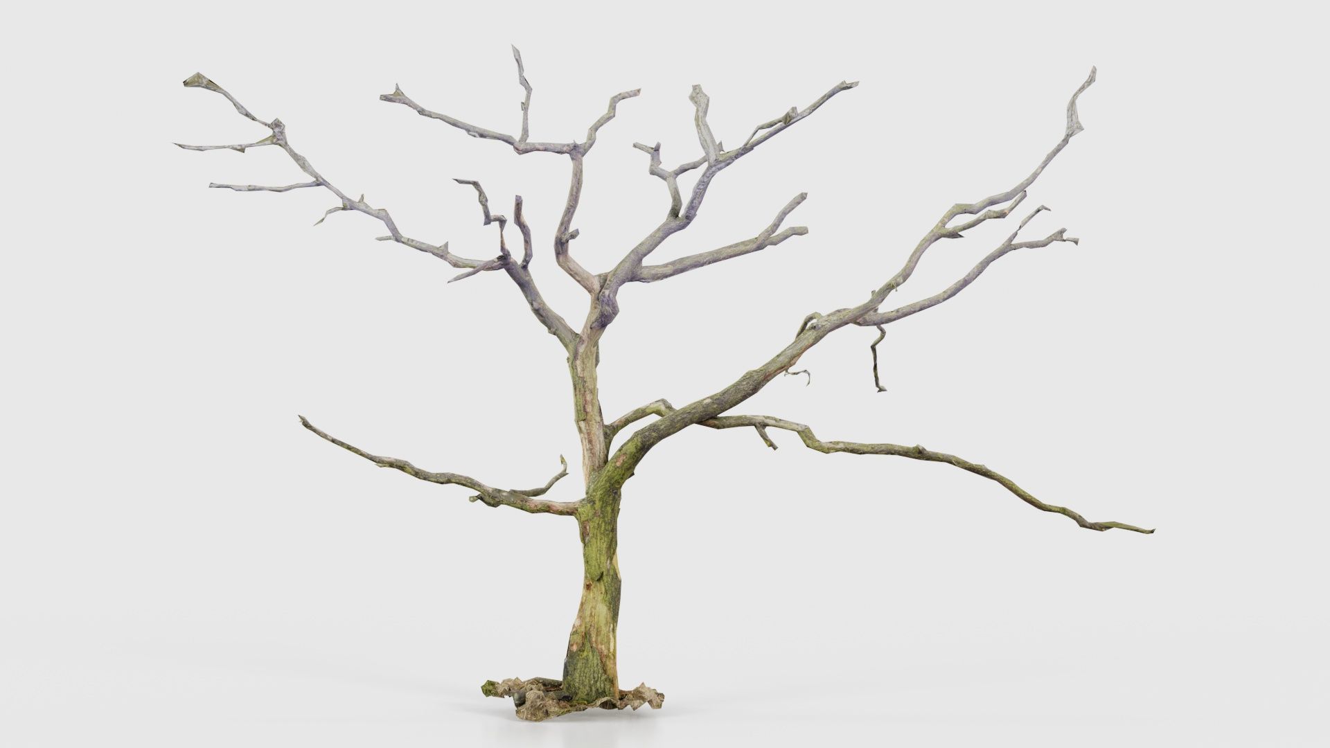 Lonesome Tree Low-poly 3D model_15