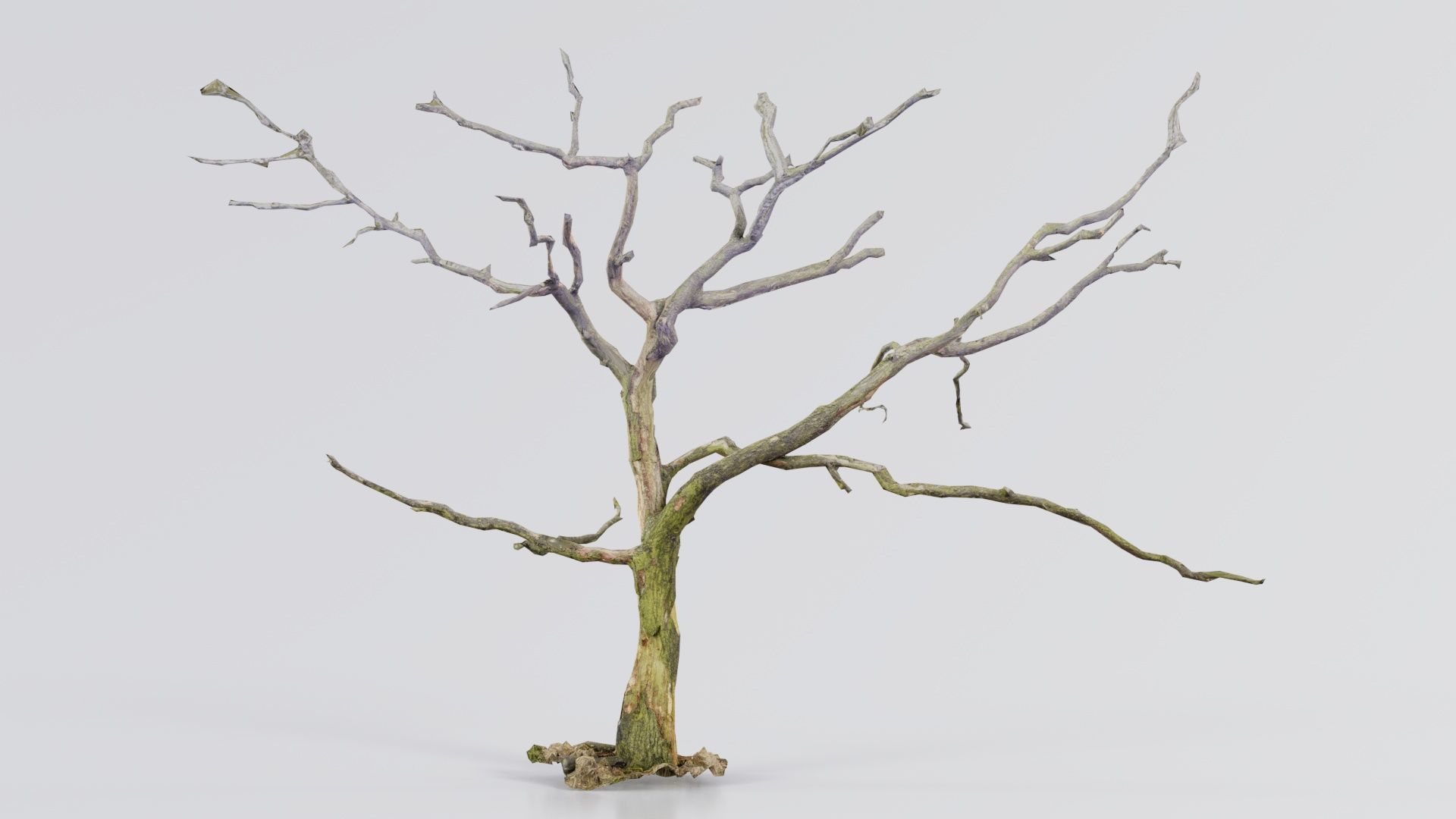 Lonesome Tree Low-poly 3D model_2