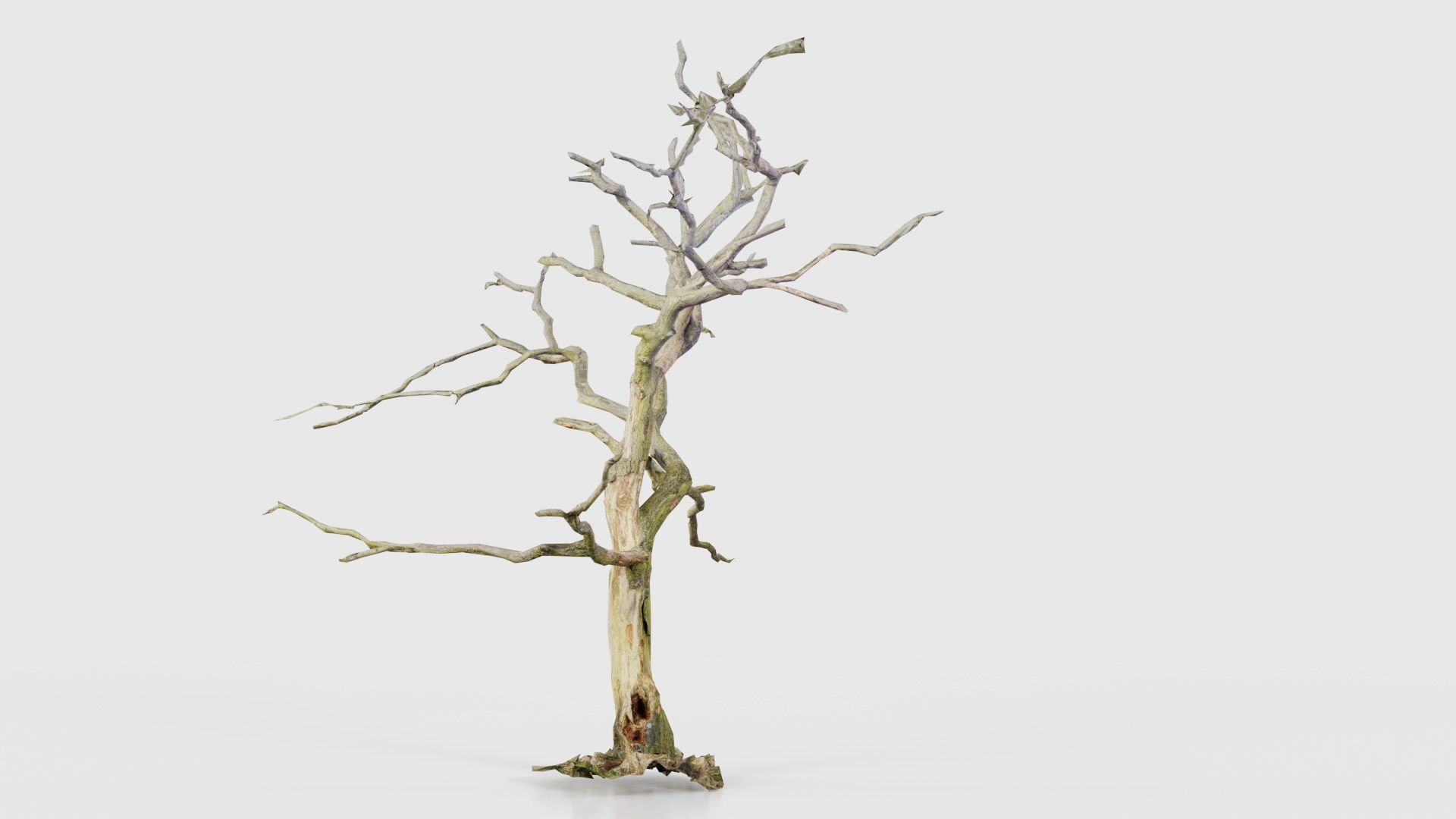 Lonesome Tree Low-poly 3D model_18