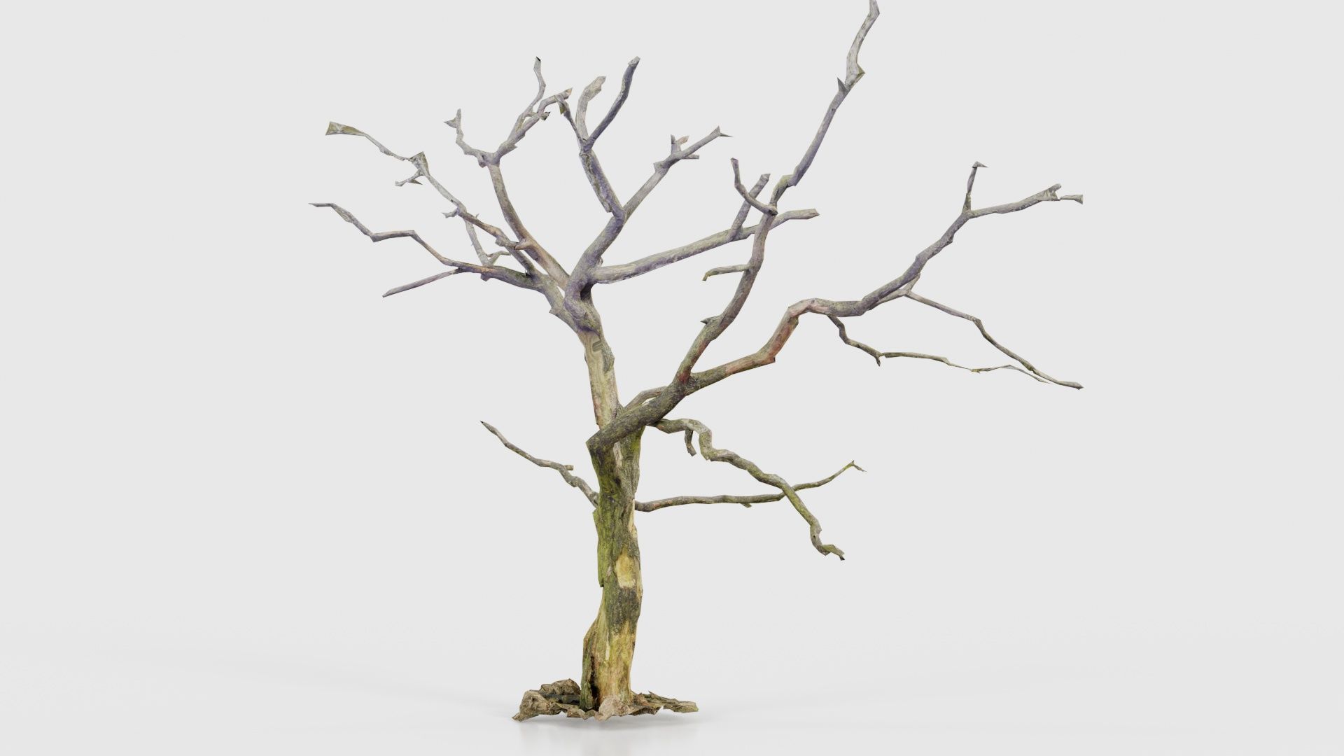 Lonesome Tree Low-poly 3D model_25