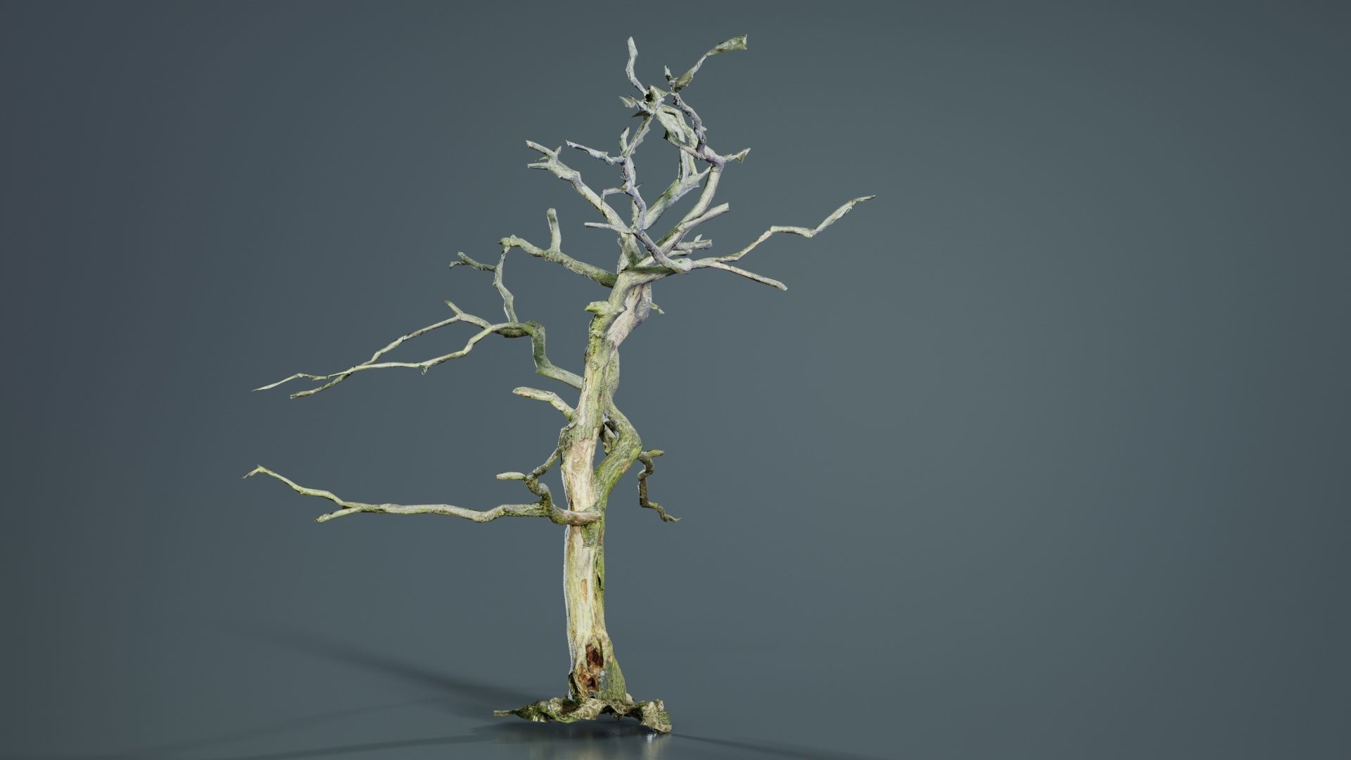 Lonesome Tree Low-poly 3D model_1