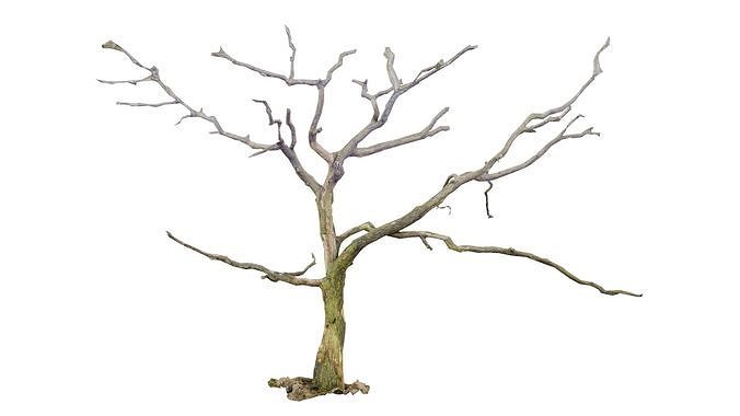 Lonesome Tree Low-poly 3D model