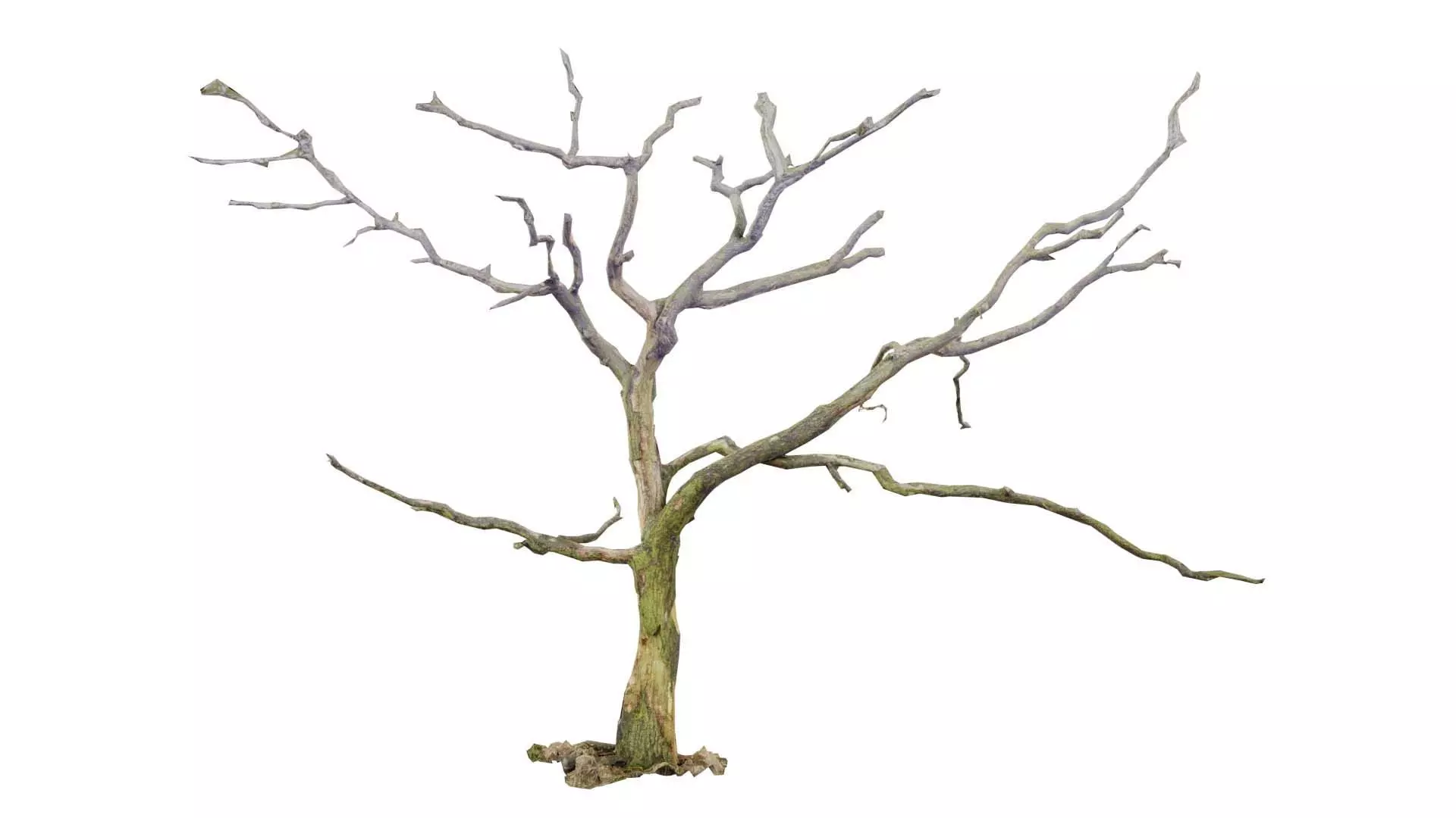 Lonesome Tree Low-poly 3D model_0