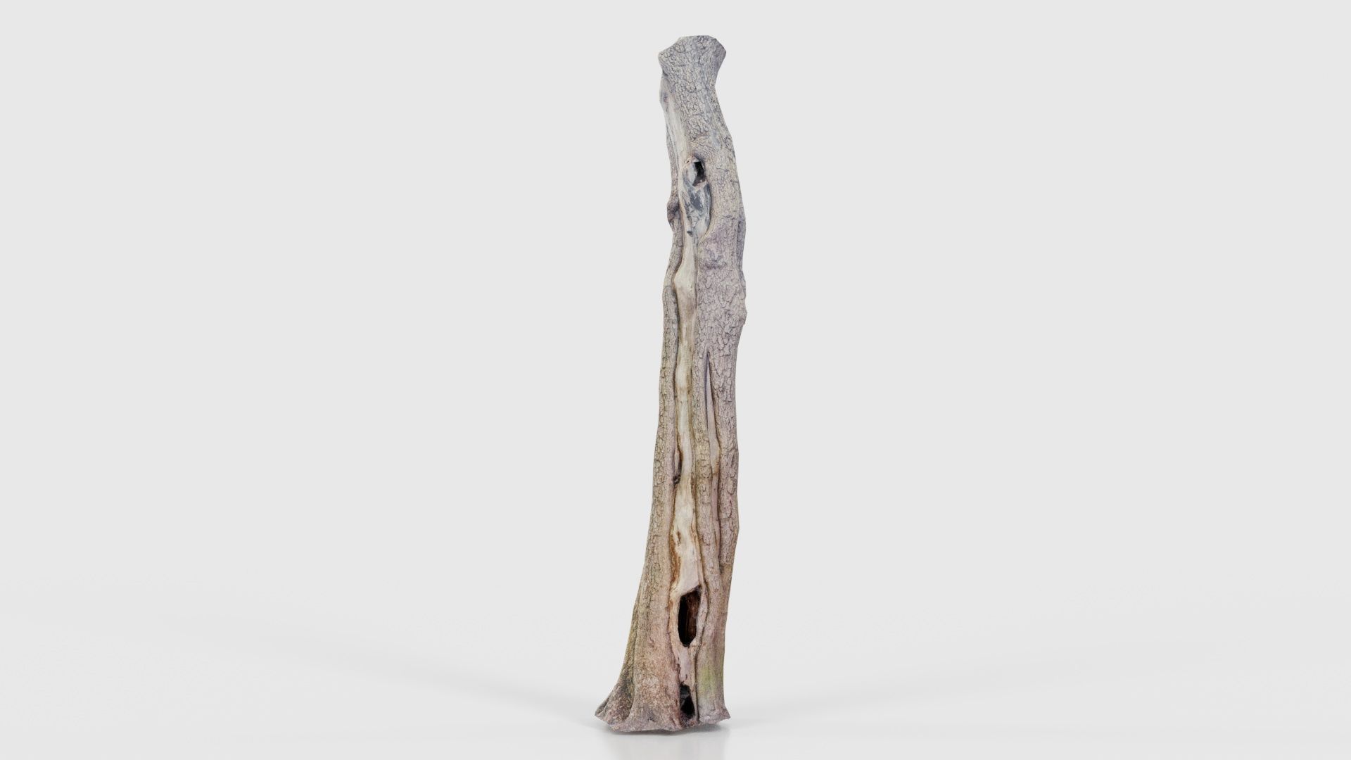 Slit Tree Trunk Low-poly 3D model_25