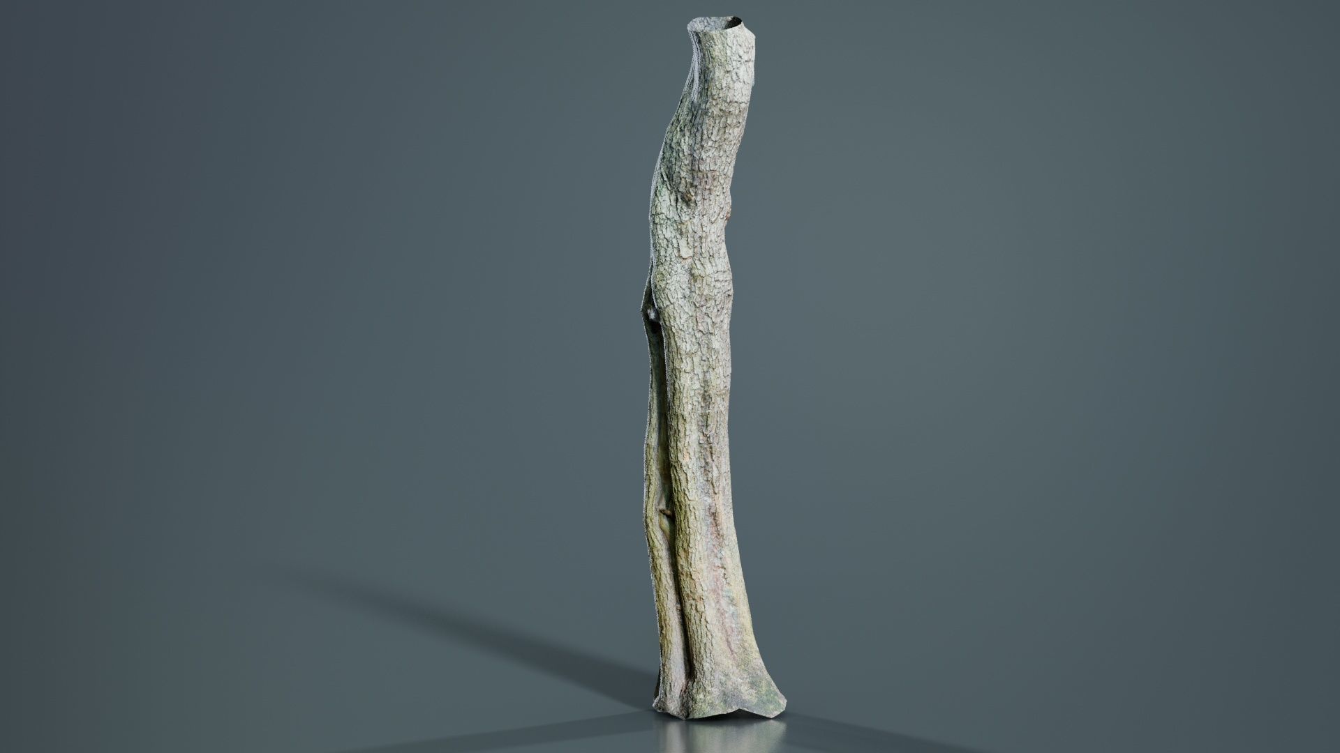 Slit Tree Trunk Low-poly 3D model_6