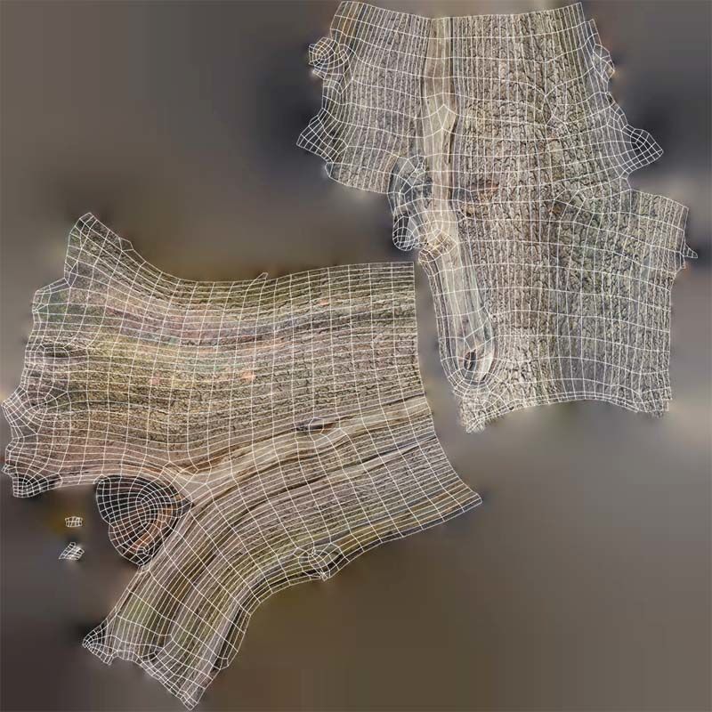 Slit Tree Trunk Low-poly 3D model_14