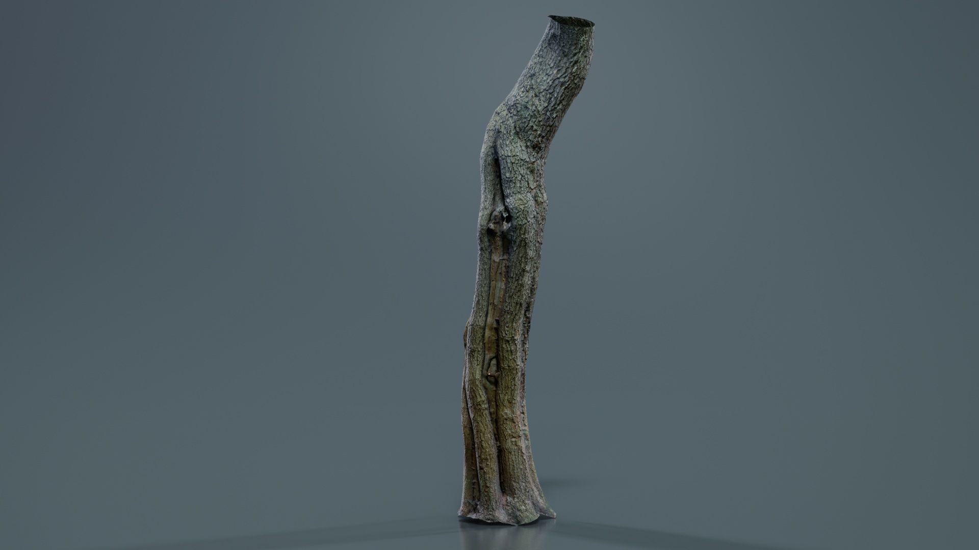 Slit Tree Trunk Low-poly 3D model_2