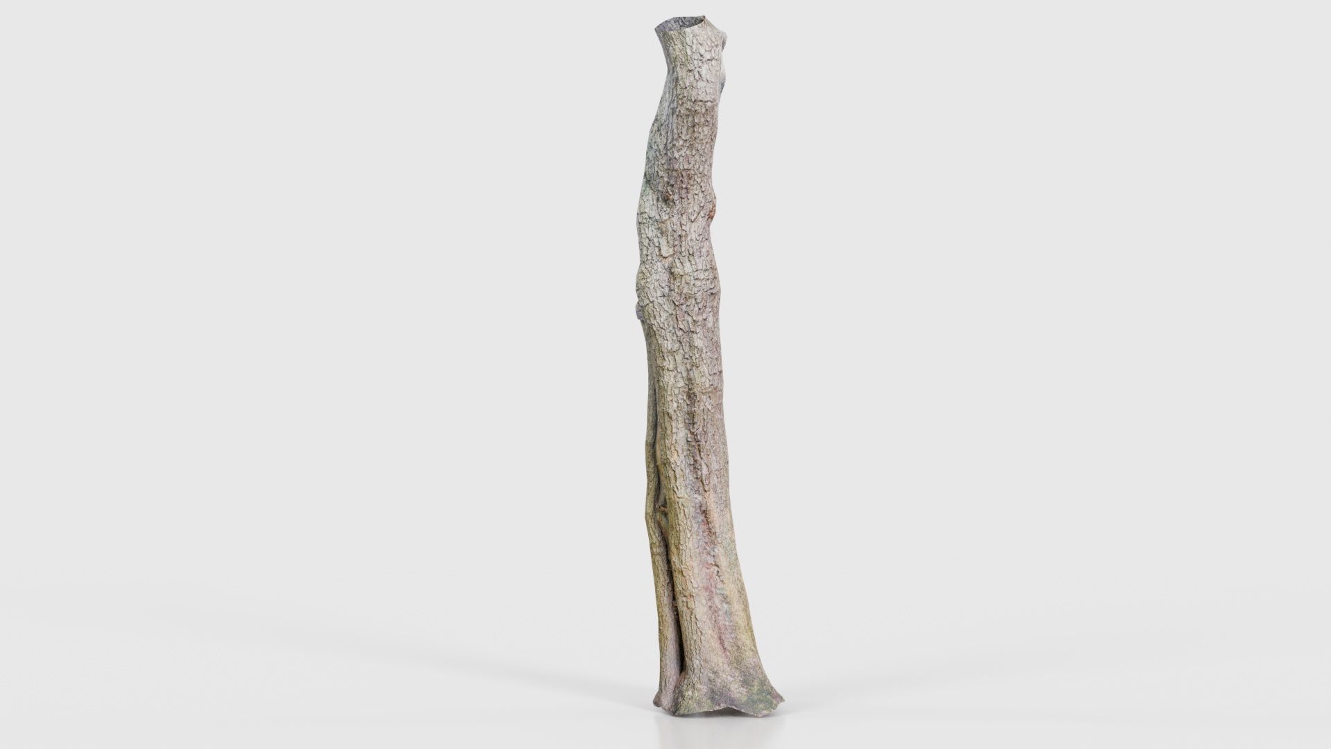 Slit Tree Trunk Low-poly 3D model_19