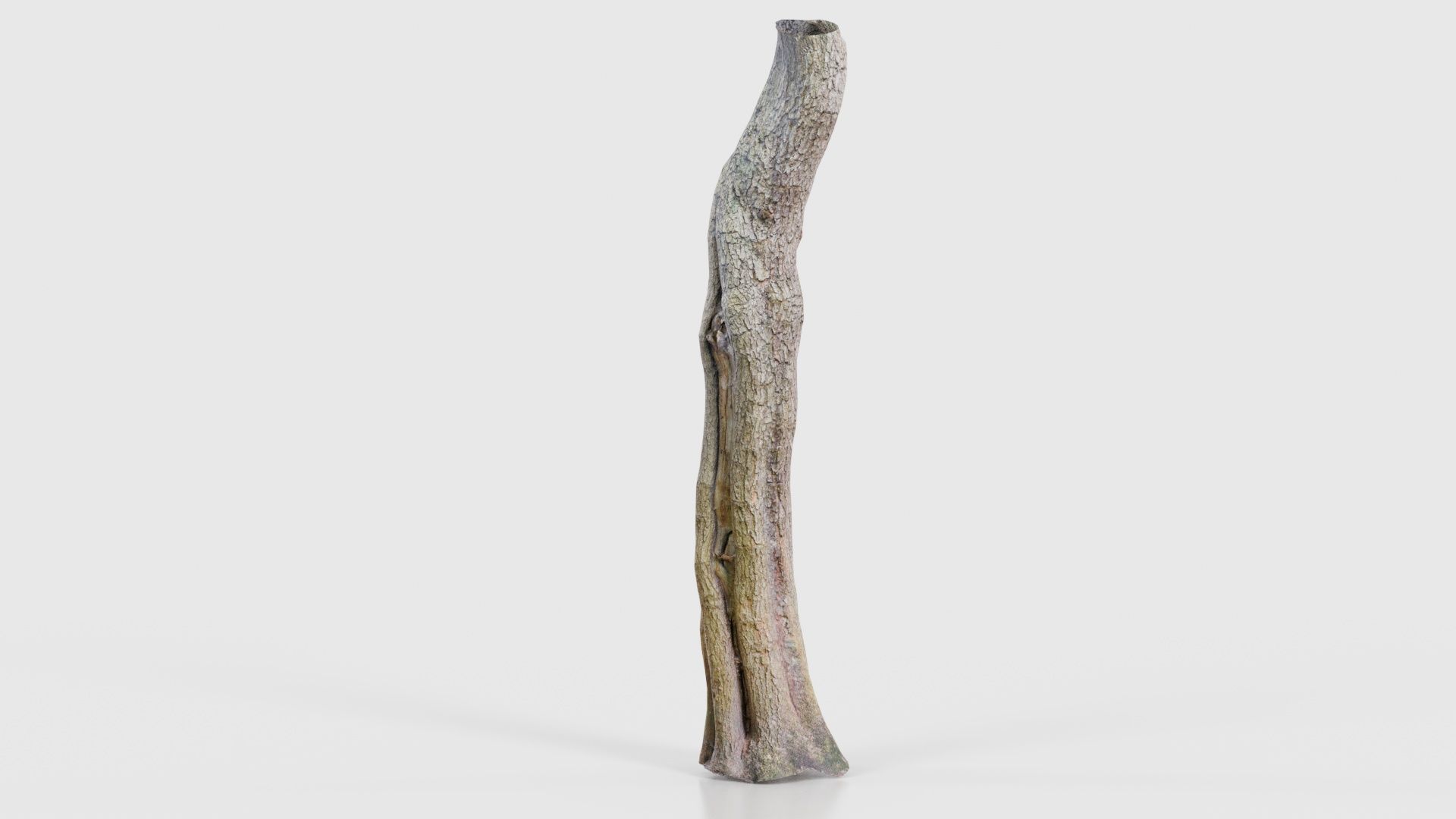 Slit Tree Trunk Low-poly 3D model_20