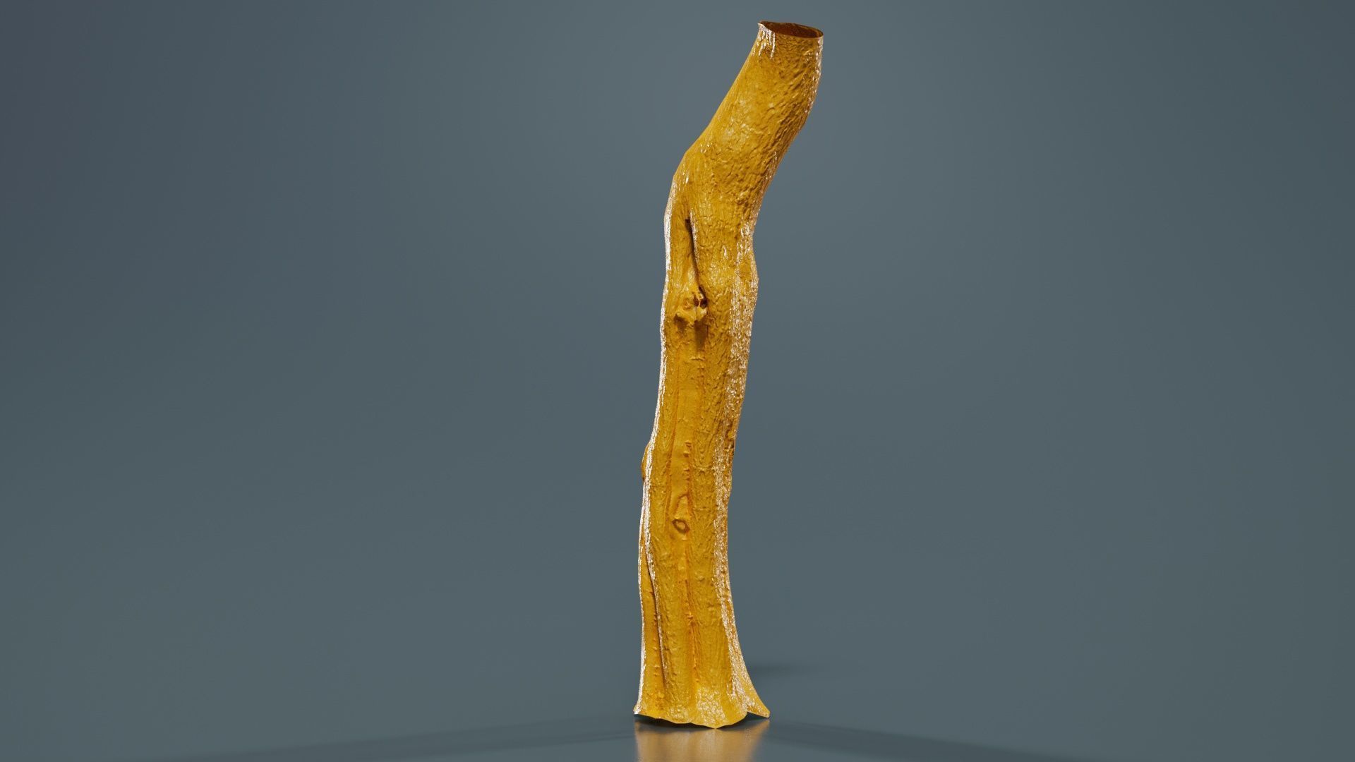 Slit Tree Trunk Low-poly 3D model_13