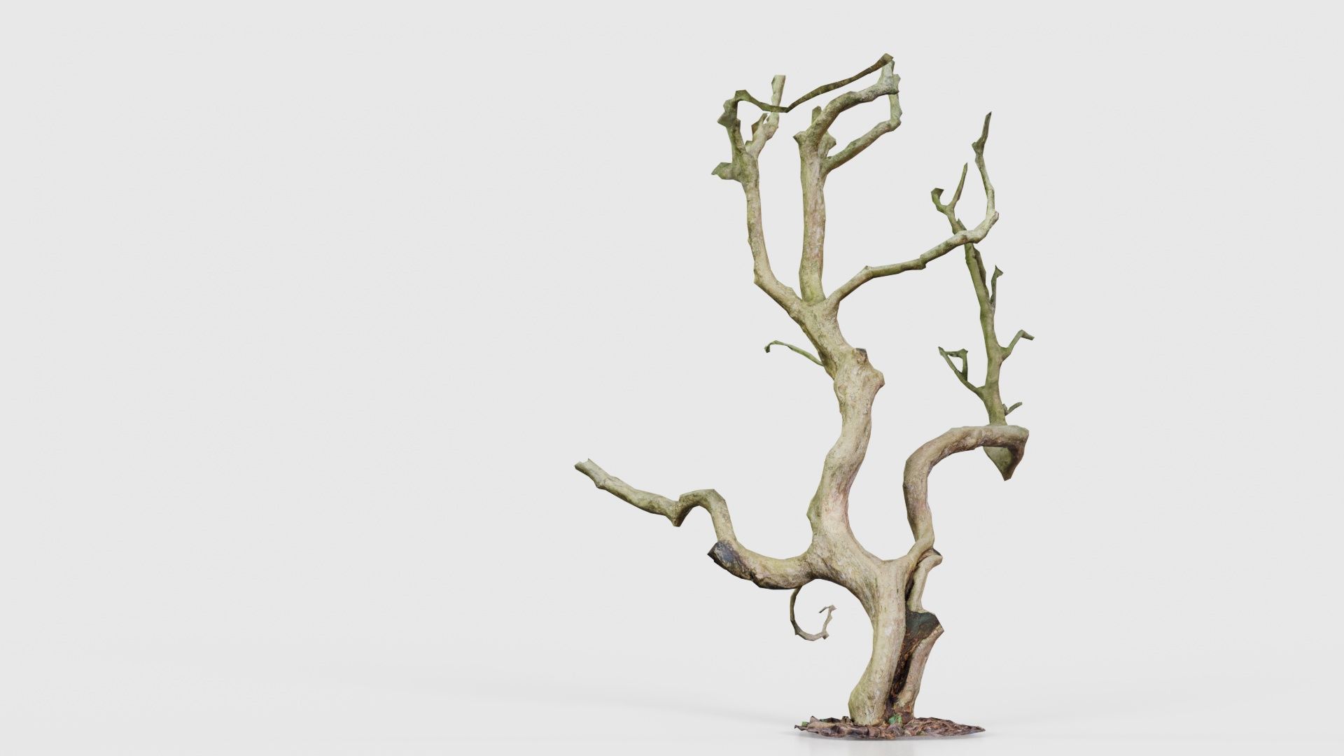Wiggle Tree Branches Low-poly 3D model_24