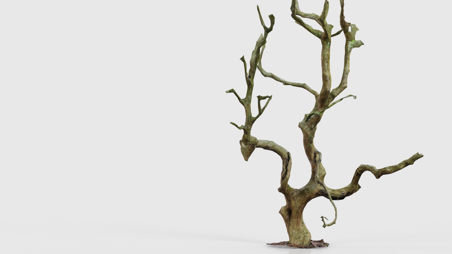 Wiggle Tree Branches Low-poly 3D model_18