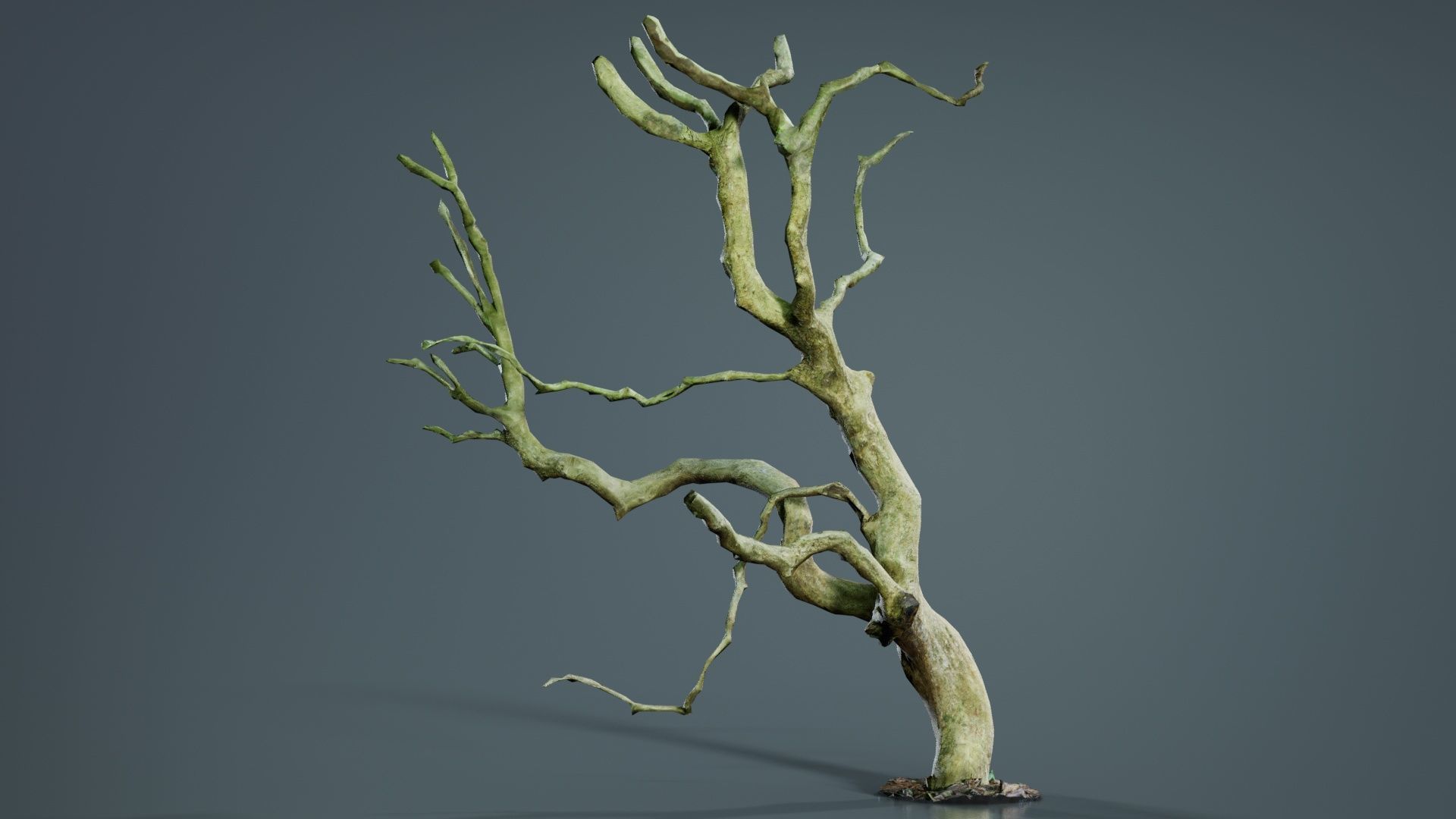 Wiggle Tree Branches Low-poly 3D model_6