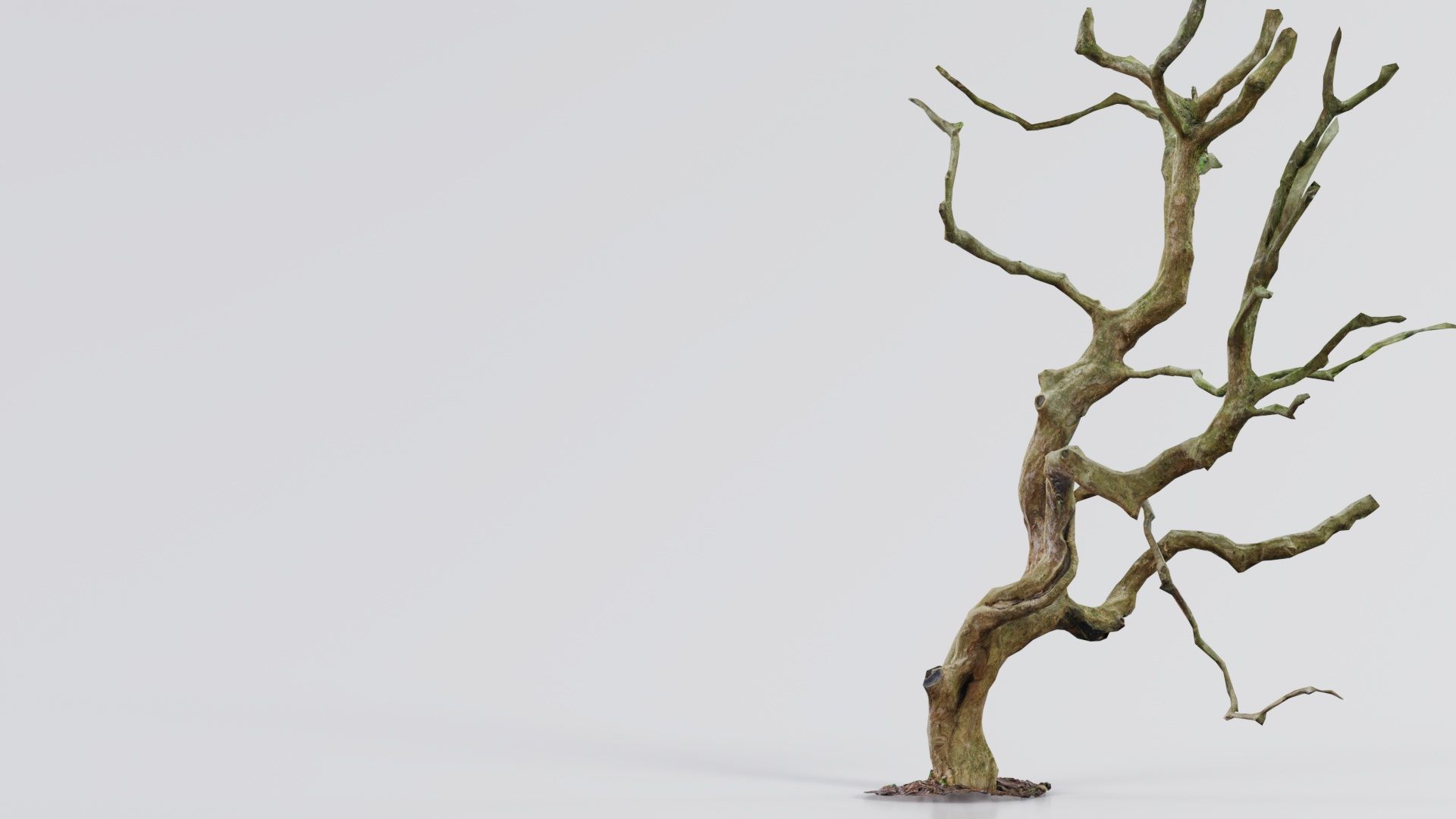 Wiggle Tree Branches Low-poly 3D model_8