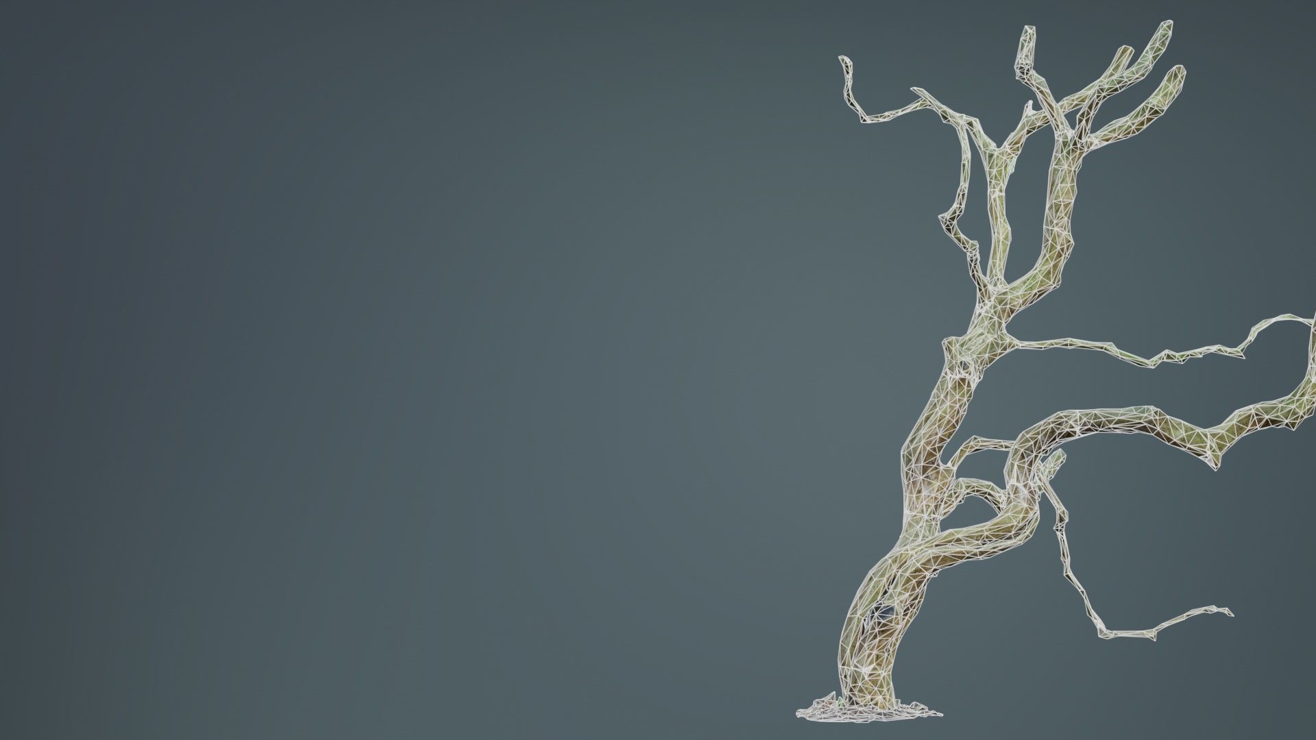 Wiggle Tree Branches Low-poly 3D model_10