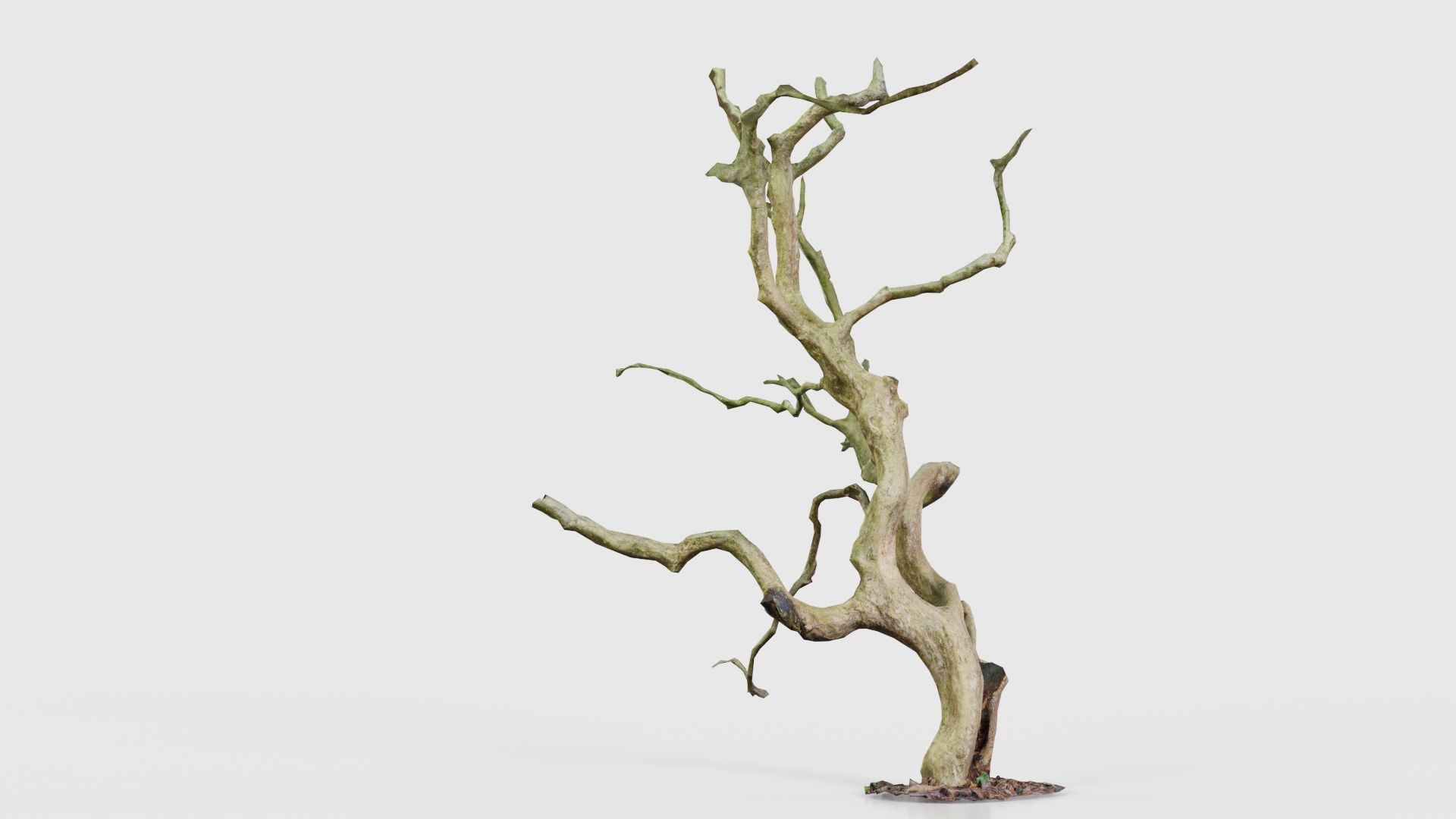 Wiggle Tree Branches Low-poly 3D model_25