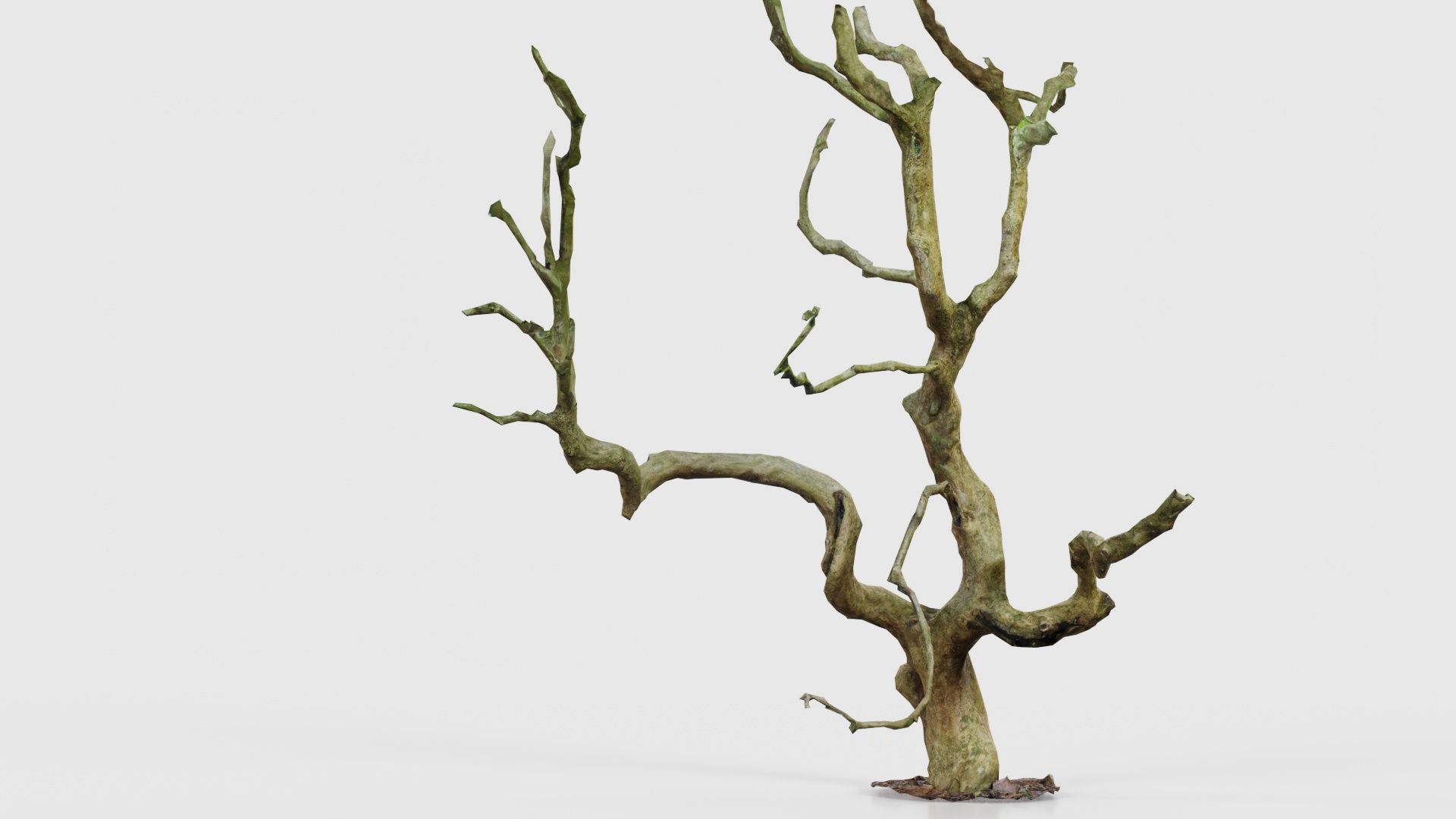 Wiggle Tree Branches Low-poly 3D model_17