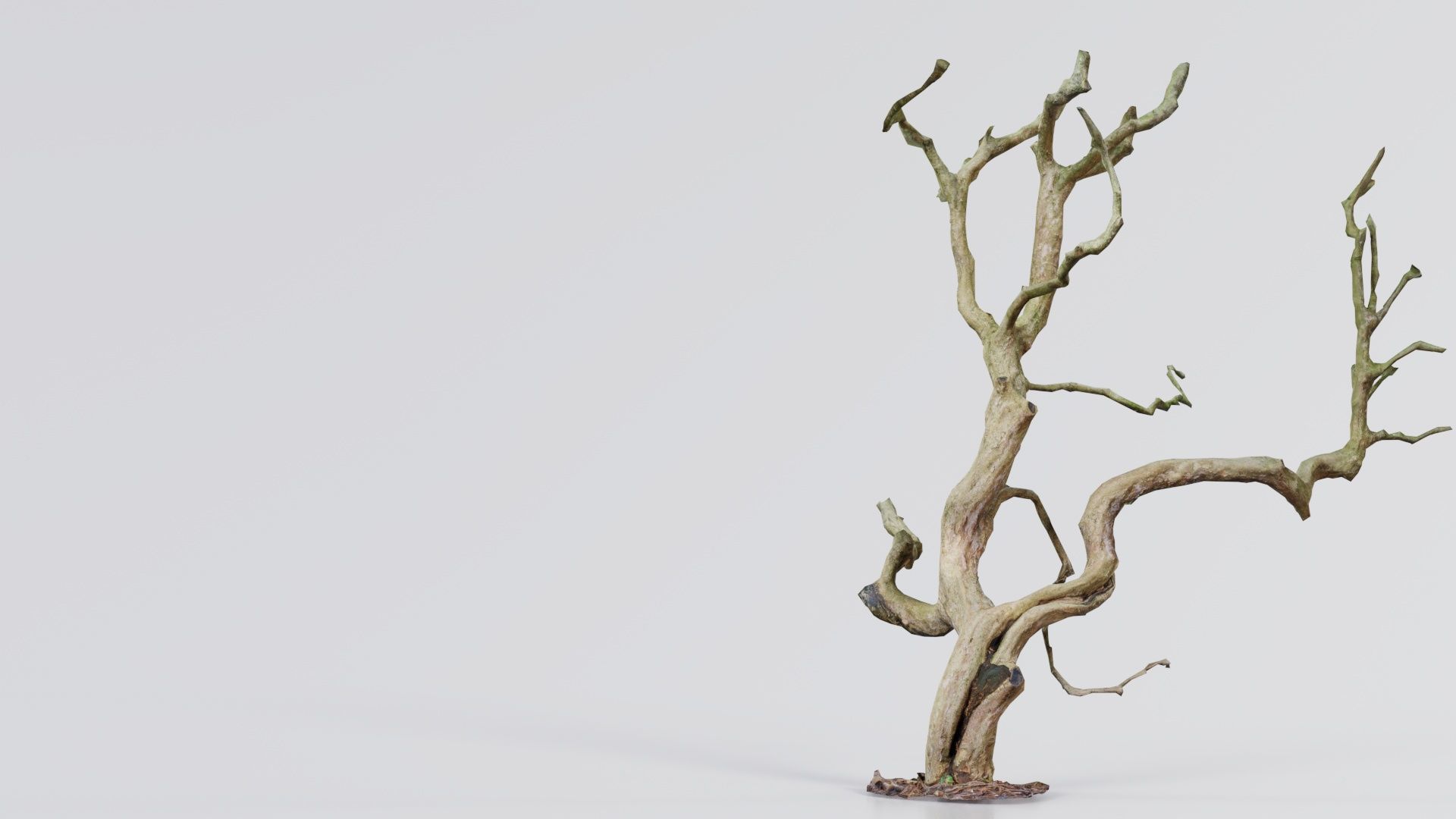 Wiggle Tree Branches Low-poly 3D model_4