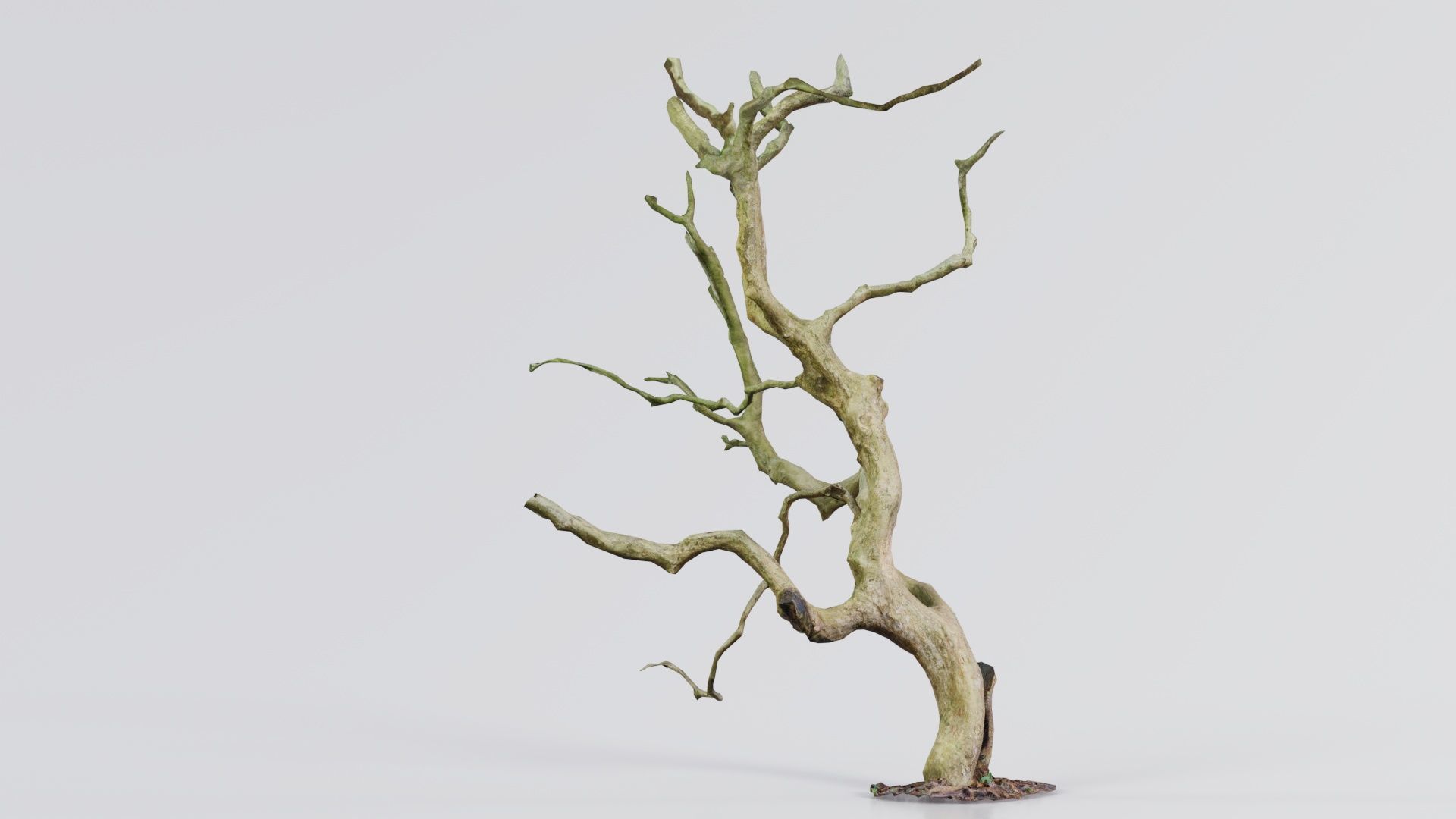 Wiggle Tree Branches Low-poly 3D model_5