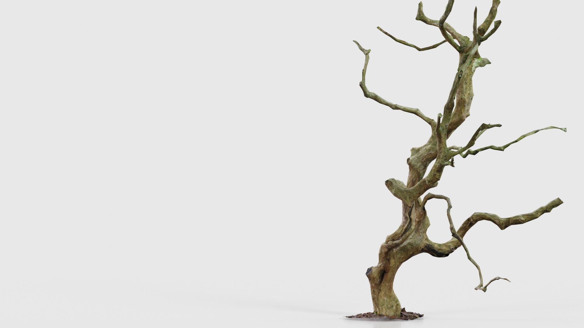 Wiggle Tree Branches Low-poly 3D model_19