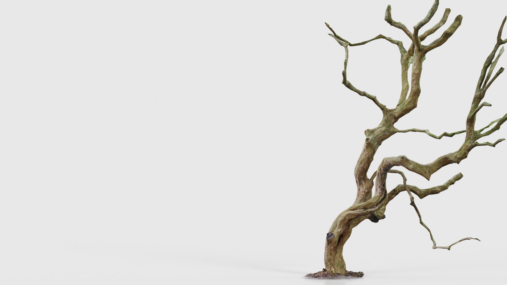 Wiggle Tree Branches Low-poly 3D model_20