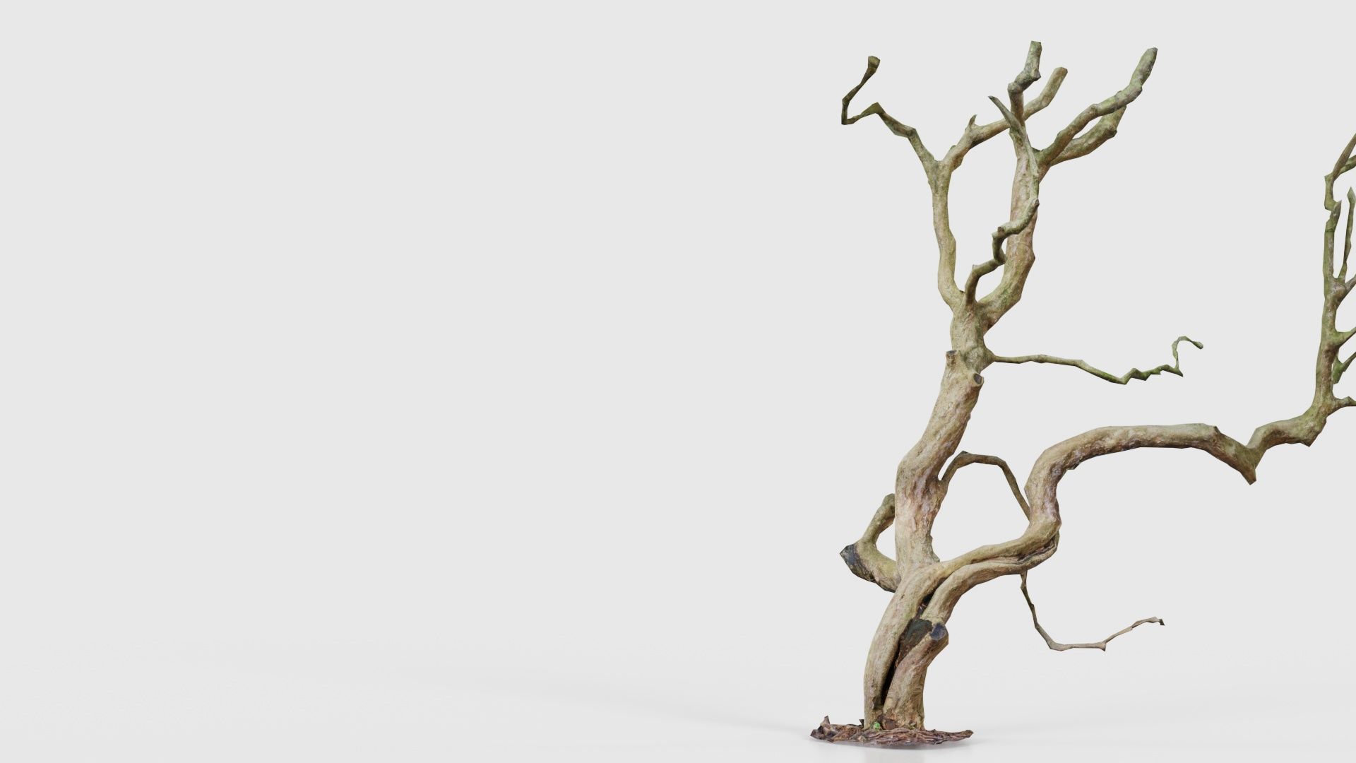Wiggle Tree Branches Low-poly 3D model_22