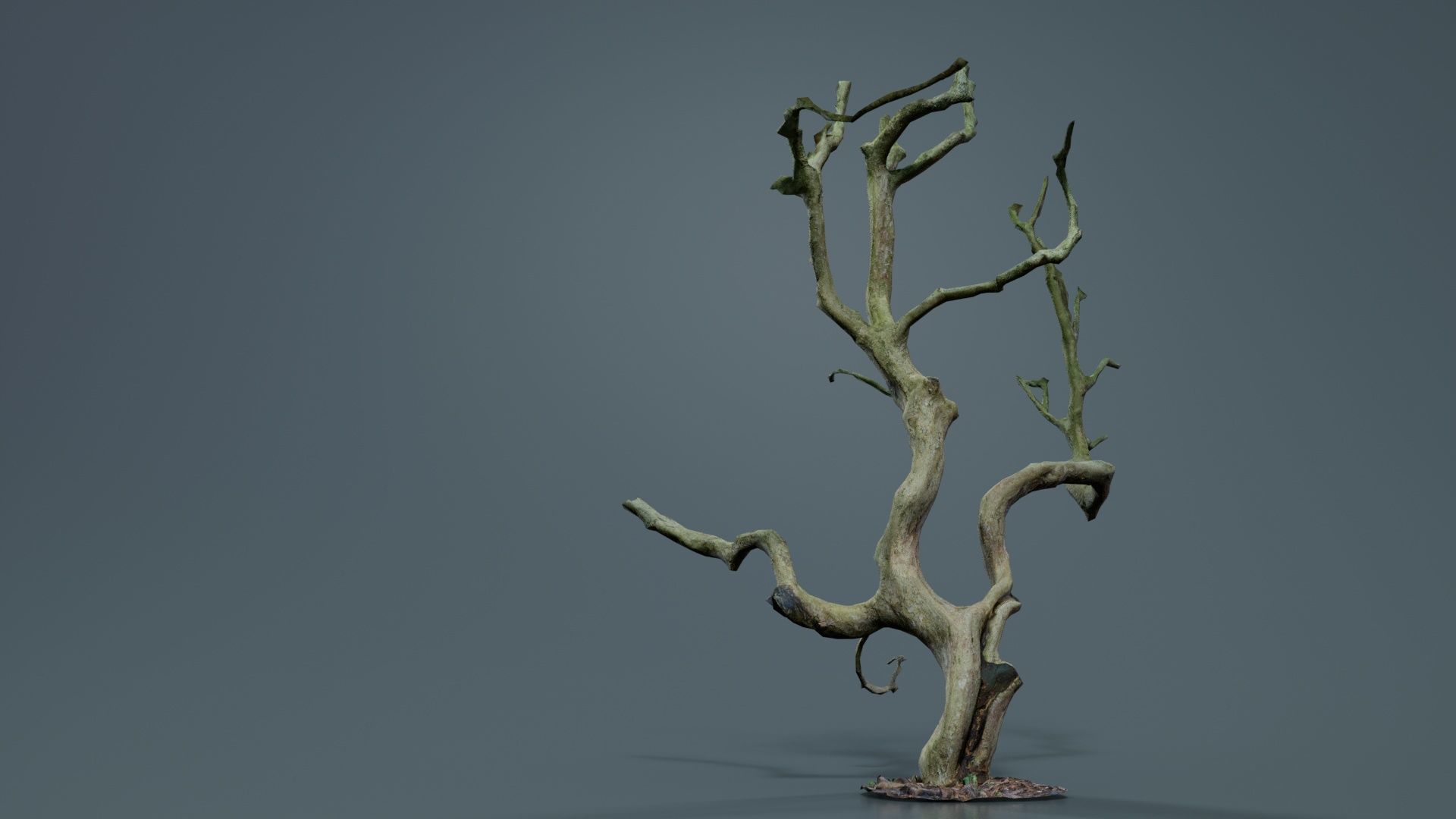 Wiggle Tree Branches Low-poly 3D model_3