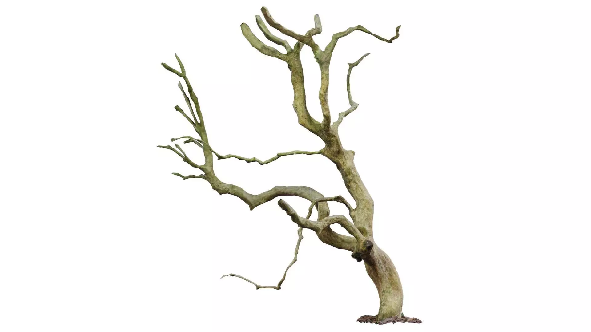 Wiggle Tree Branches Low-poly 3D model_0