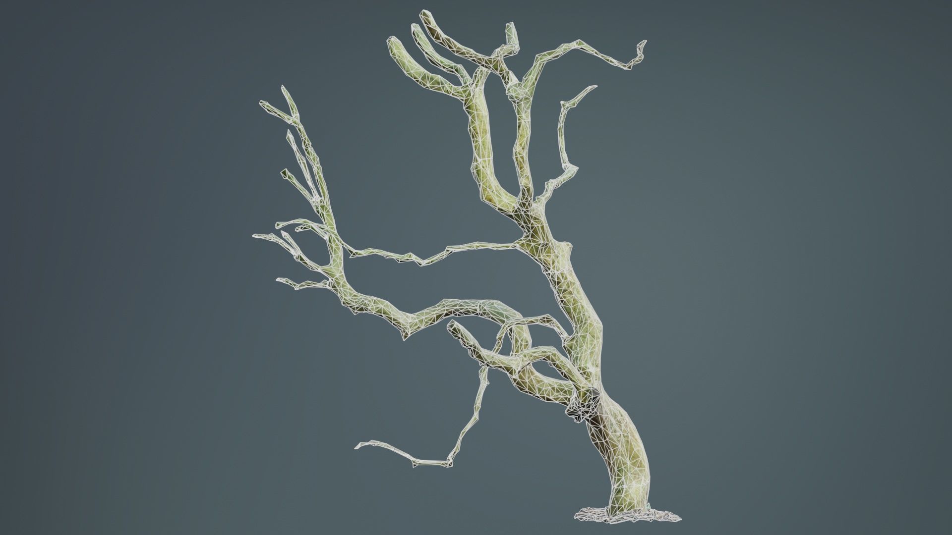 Wiggle Tree Branches Low-poly 3D model_9
