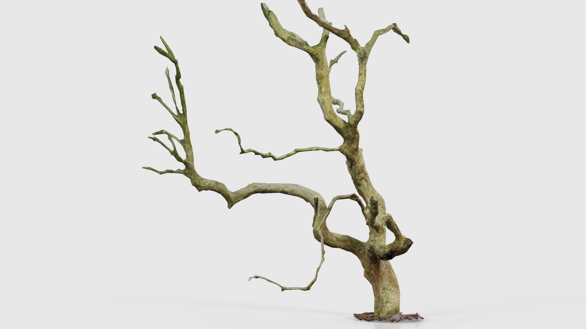 Wiggle Tree Branches Low-poly 3D model_16