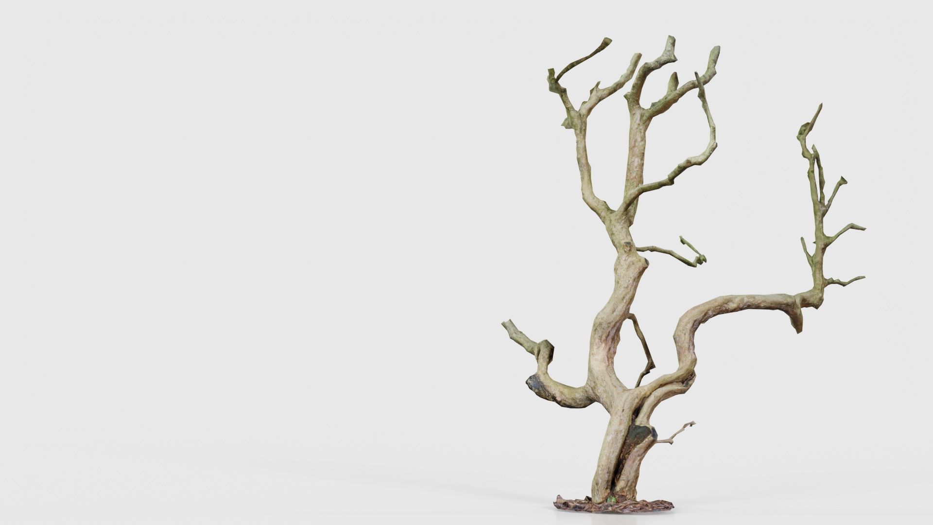 Wiggle Tree Branches Low-poly 3D model_23