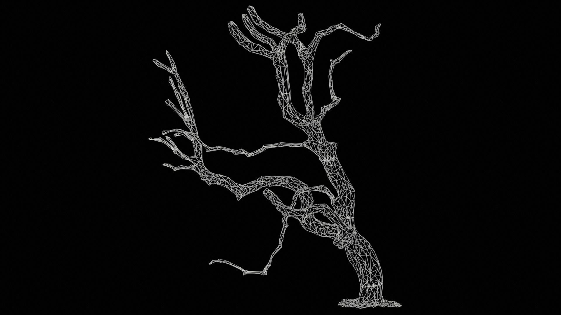 Wiggle Tree Branches Low-poly 3D model_11