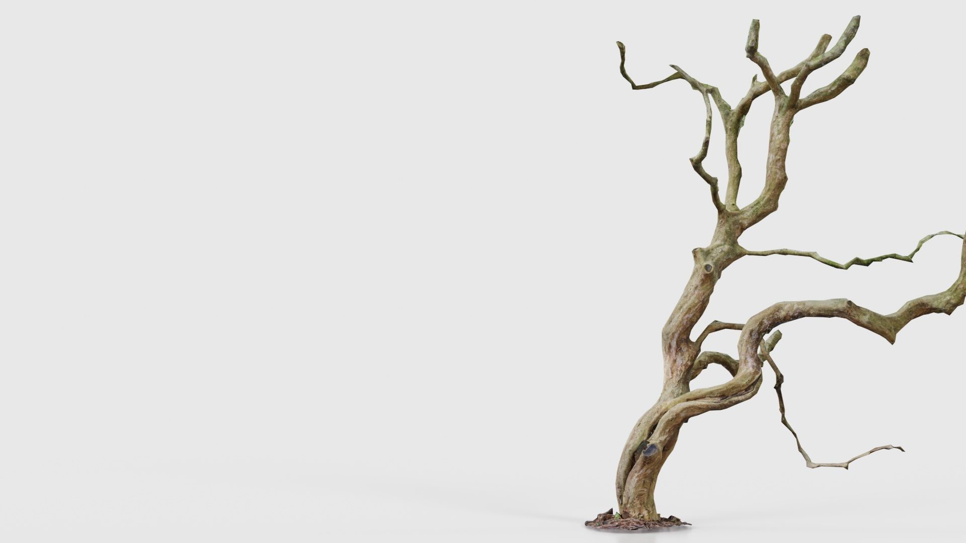 Wiggle Tree Branches Low-poly 3D model_21