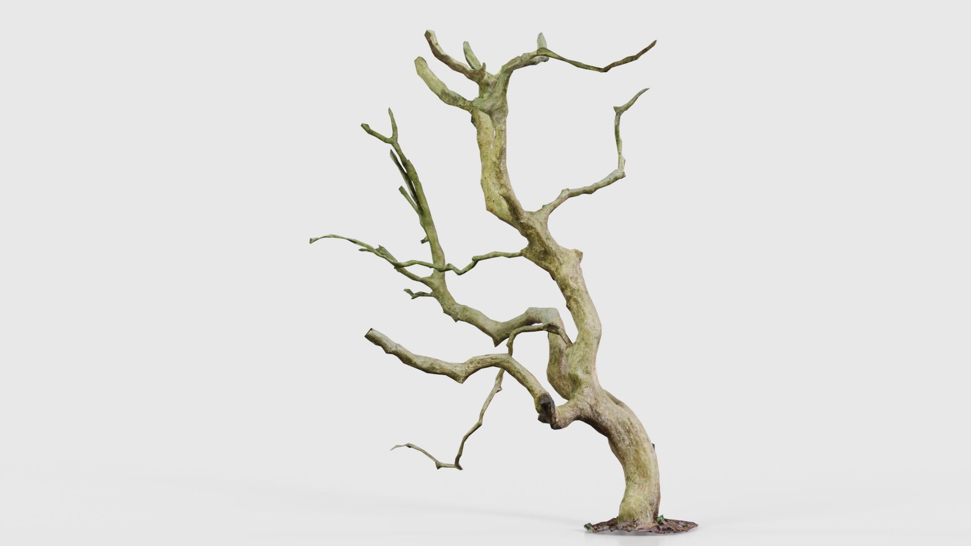 Wiggle Tree Branches Low-poly 3D model_26