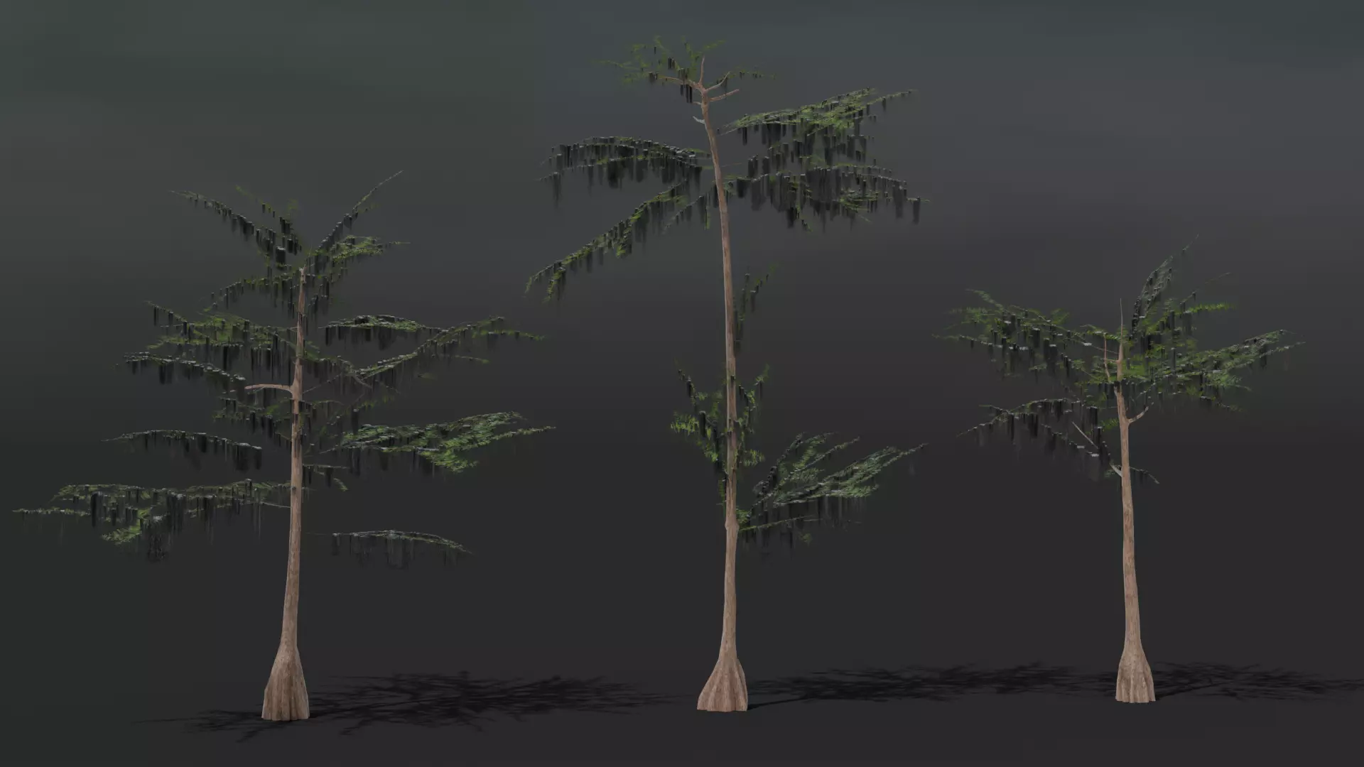 Bald cypress trees Low-poly 3D model_0